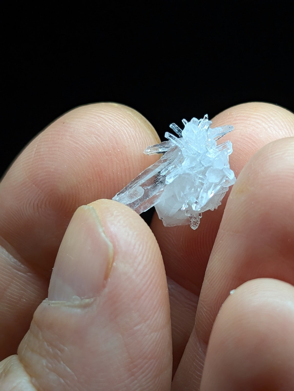A delicate, translucent white crystal cluster with sharp, jagged facets and a natural, organic growth pattern.