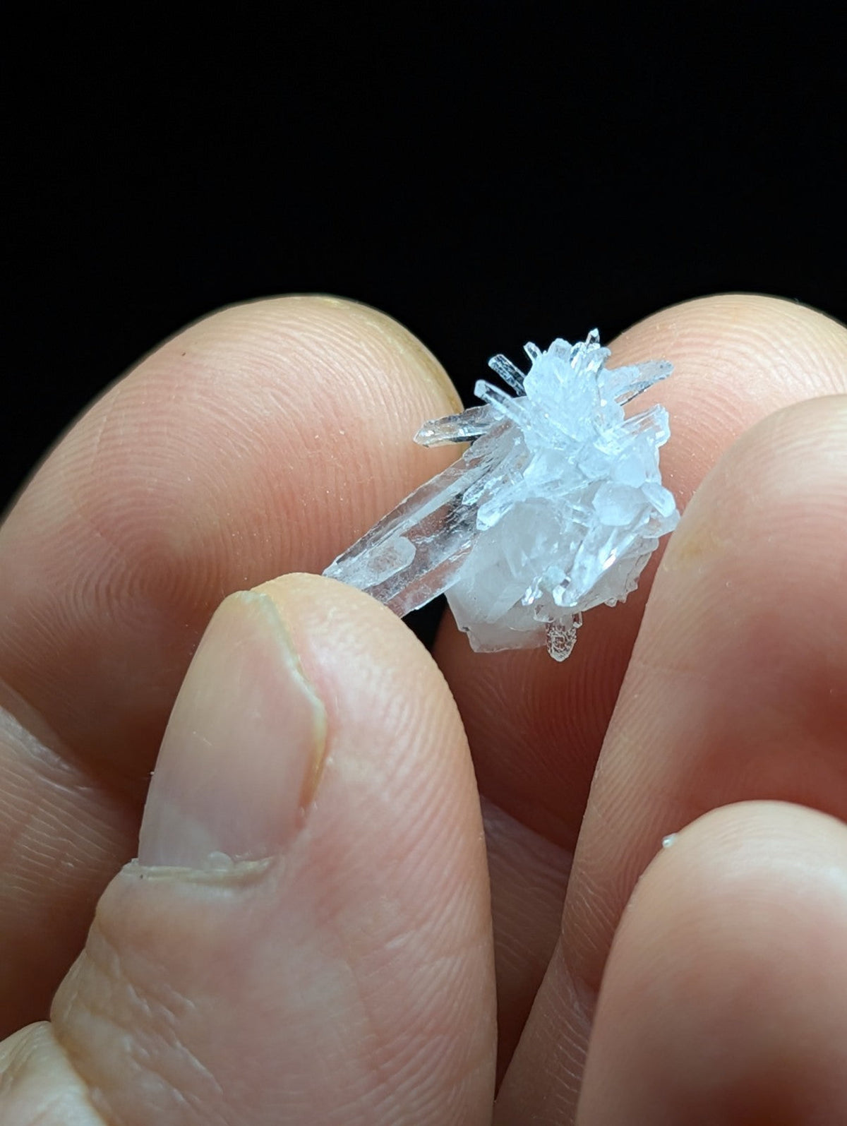 A delicate, translucent white crystal cluster with sharp, jagged facets and a natural, organic growth pattern.