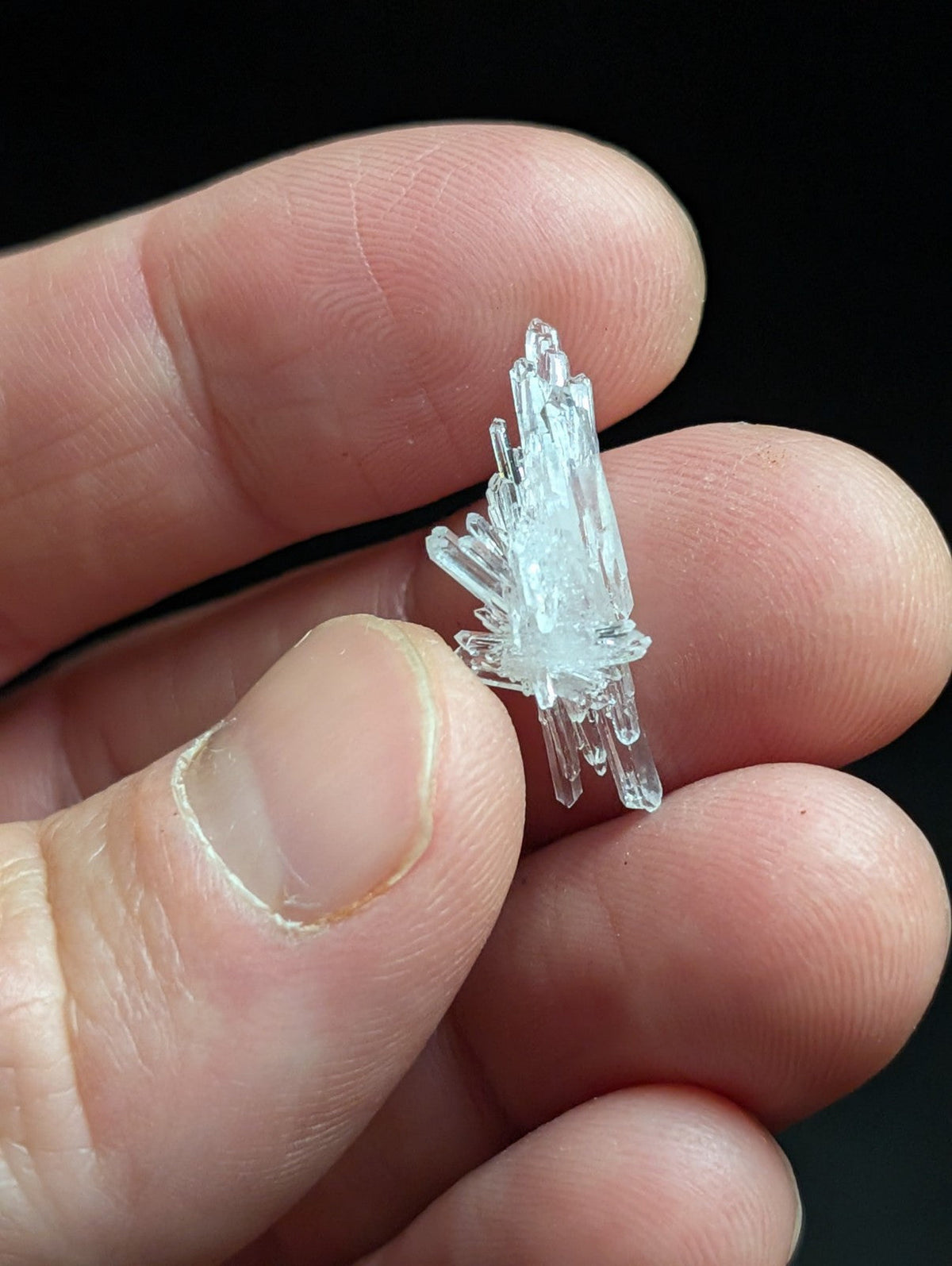 A delicate, translucent quartz crystal cluster with sharp, faceted points and a pale blue tint.