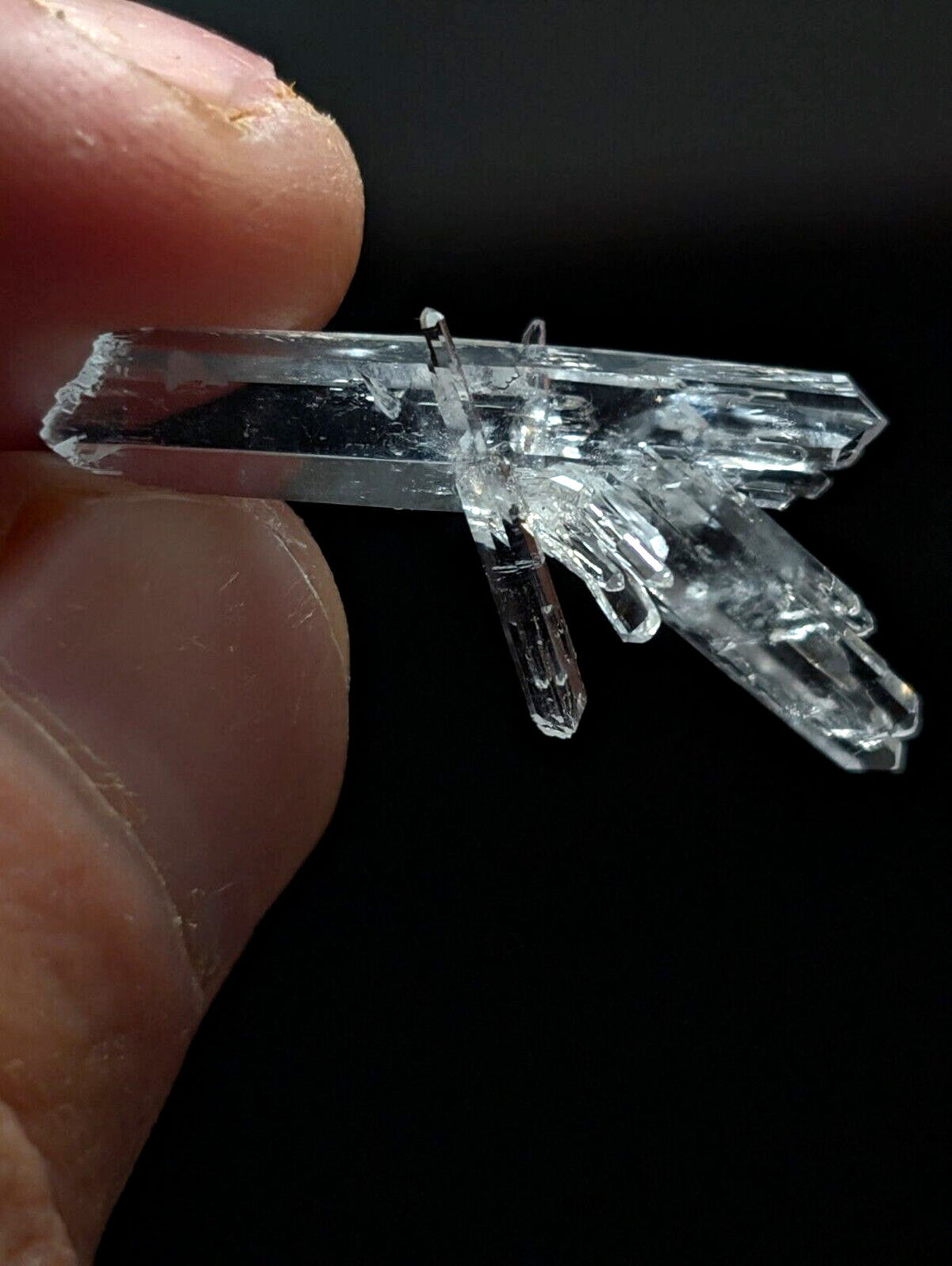 A clear, transparent quartz crystal cluster with multiple pointed prisms and a central main crystal.