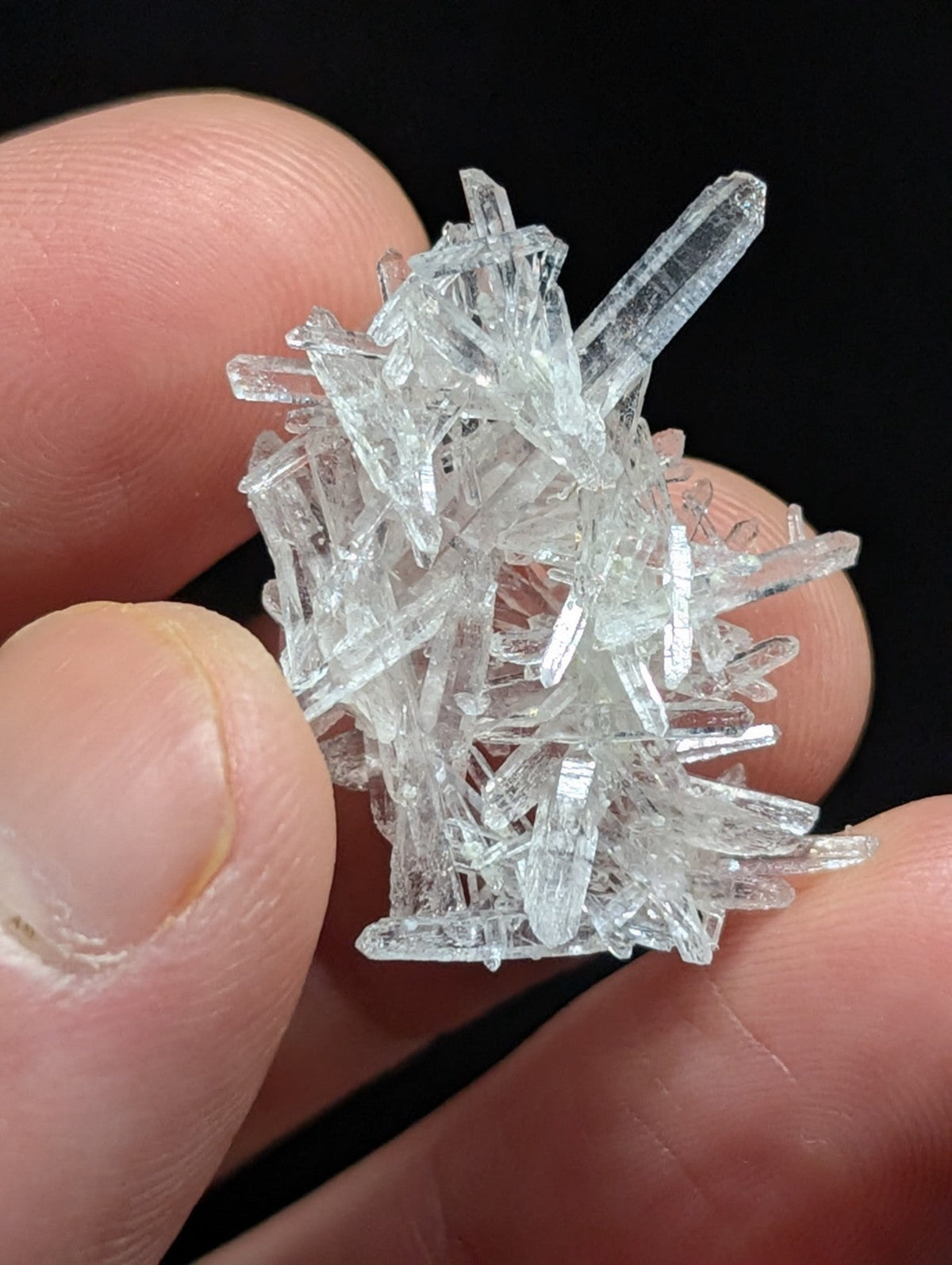 A cluster of clear, transparent quartz crystals with sharp, angular facets and varying lengths.