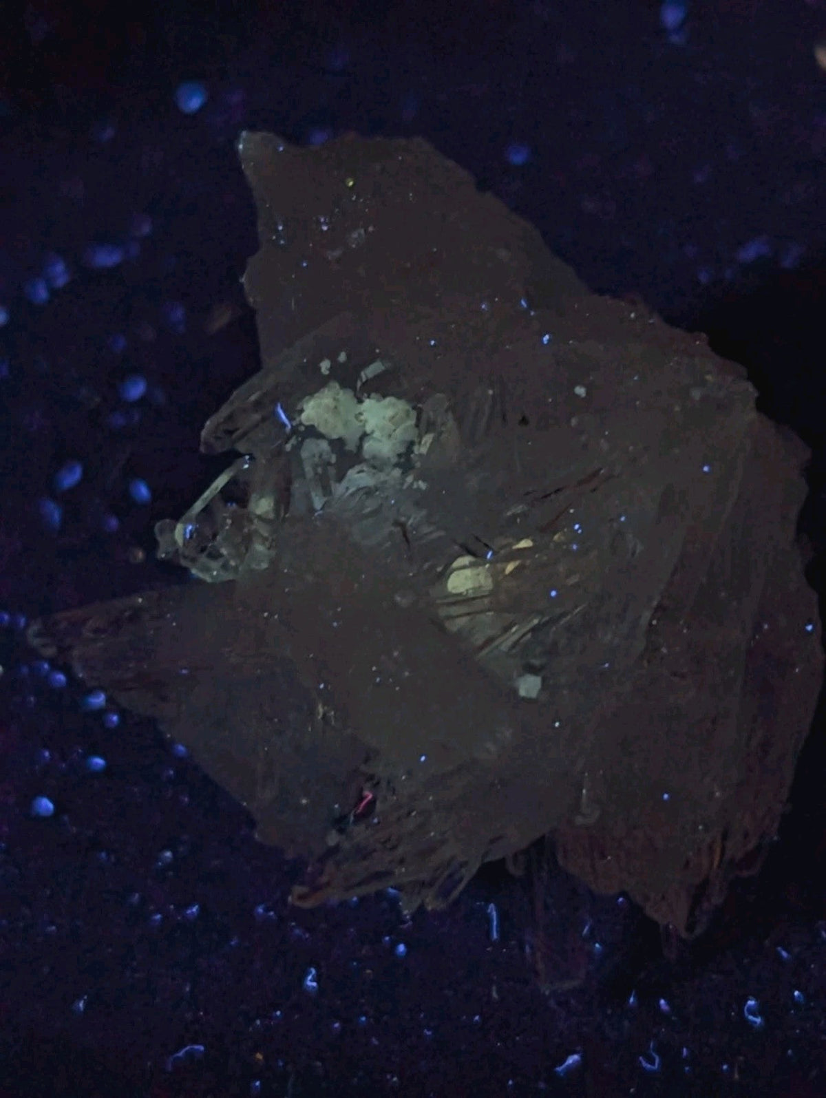 A translucent, dark brown mineral specimen with a rough, irregular surface and embedded lighter-colored crystalline inclusions.