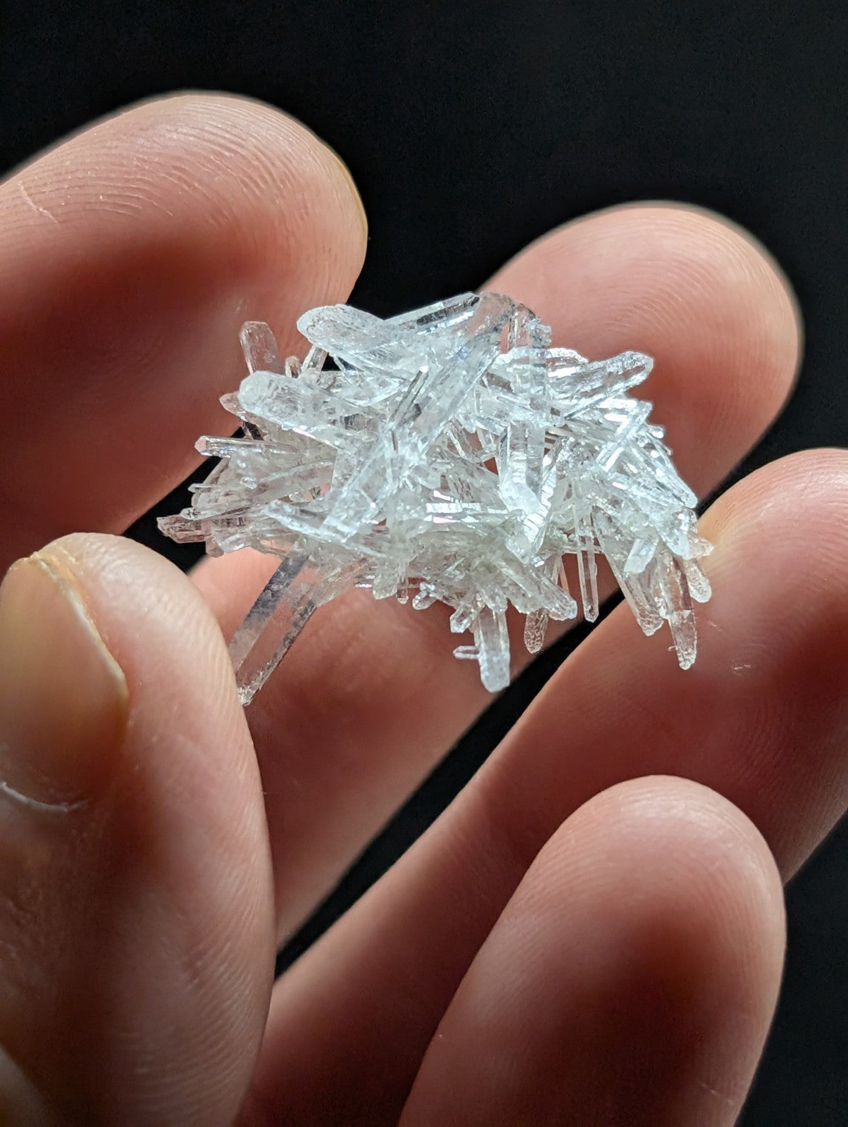 A cluster of transparent, crystalline quartz needles held gently in a hand.