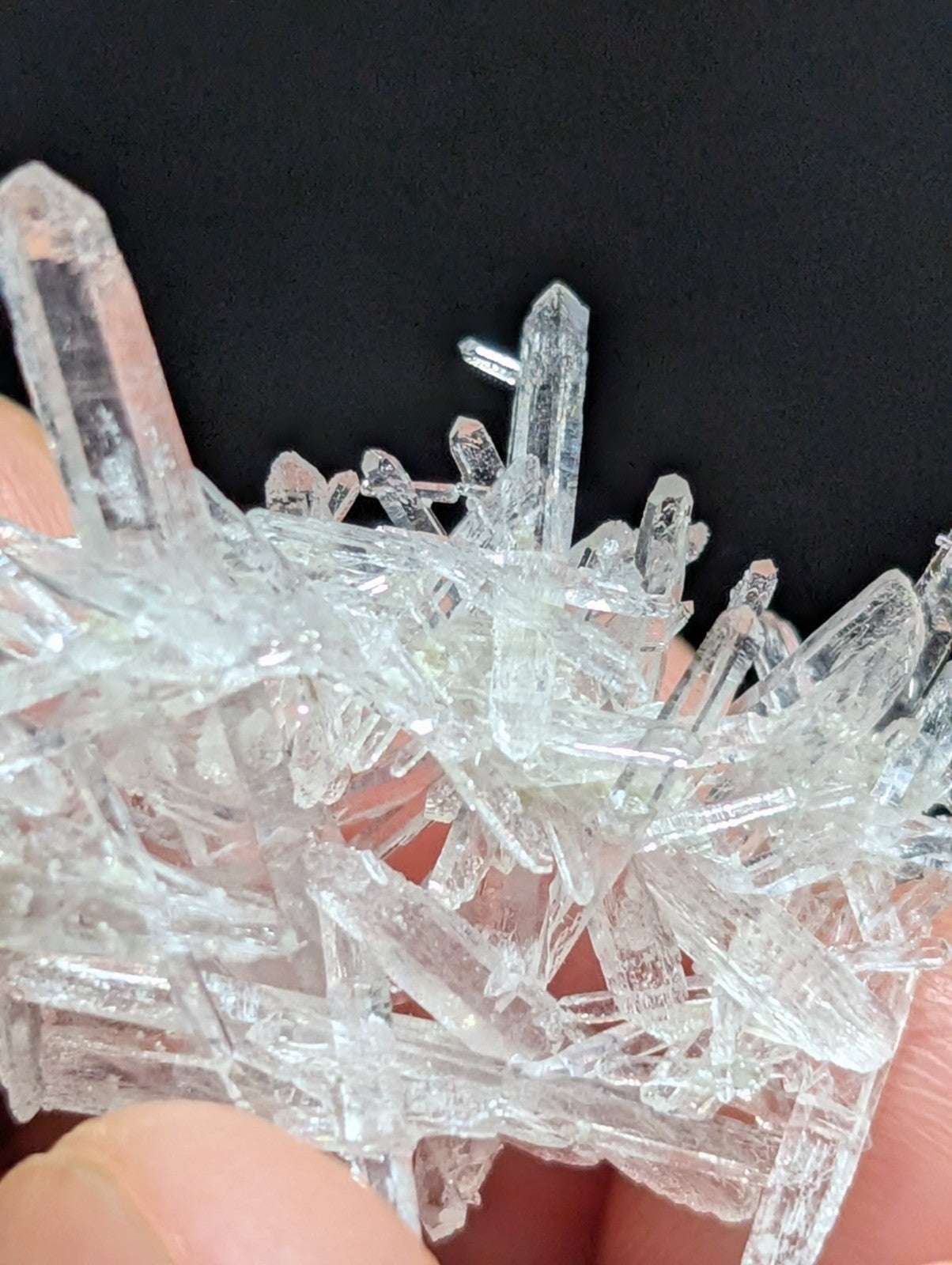 A cluster of clear, translucent quartz crystals with sharp, pointed tips and varying lengths.