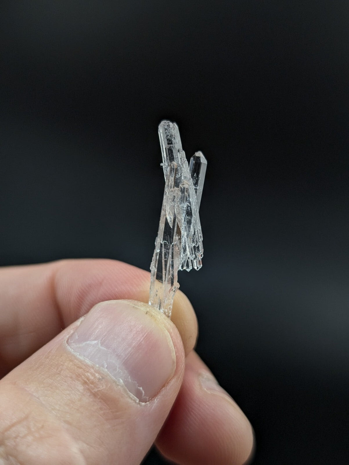 A clear, translucent crystal cluster with multiple slender prismatic formations held between fingers.
