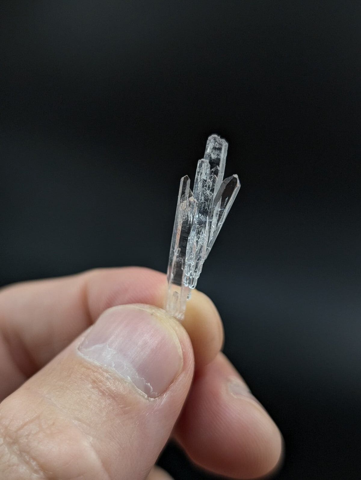 A clear, translucent quartz crystal cluster with multiple pointed prisms held delicately between fingers.