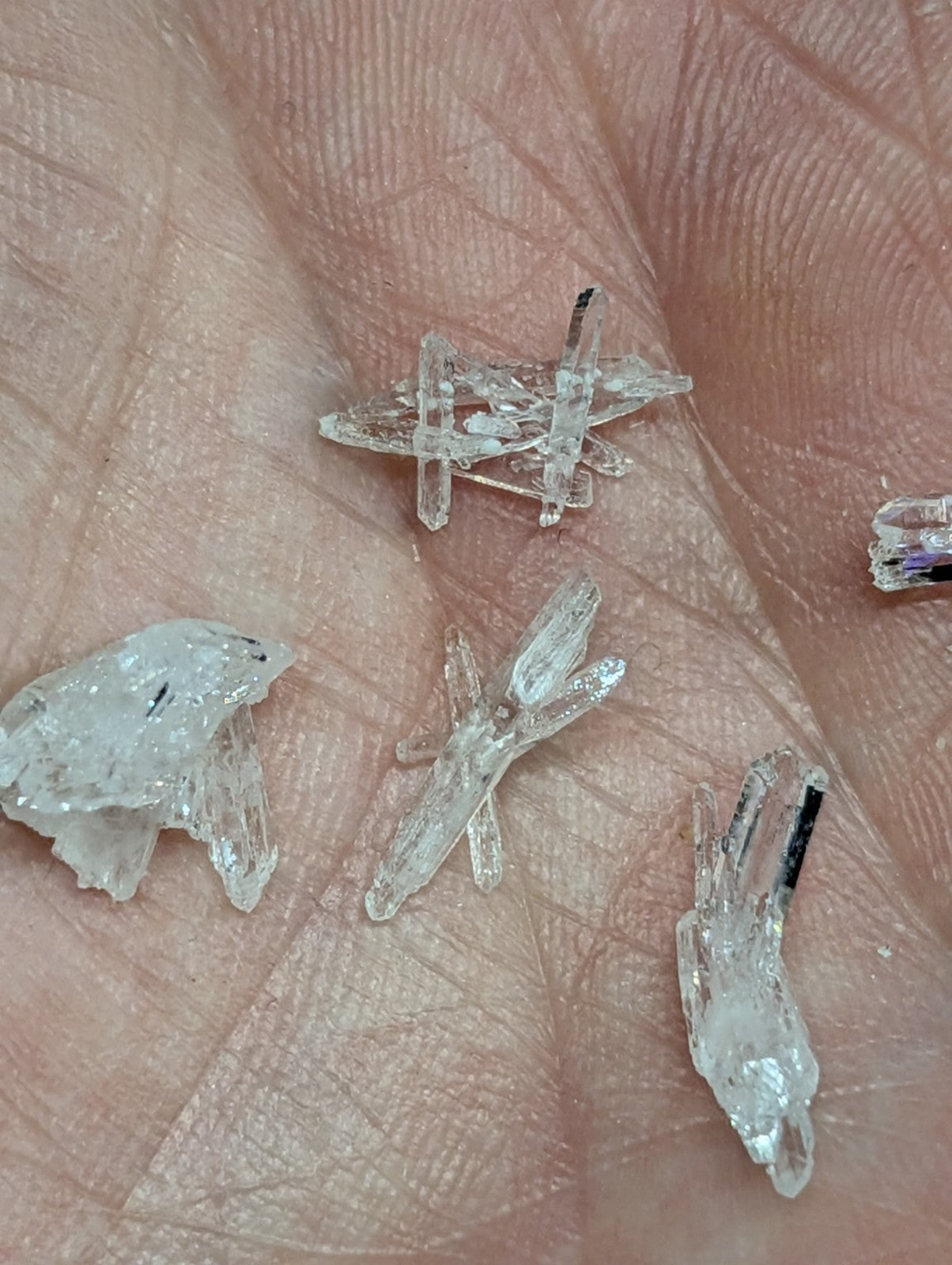 Clear quartz crystals with natural facets and subtle internal inclusions, resting on a palm.