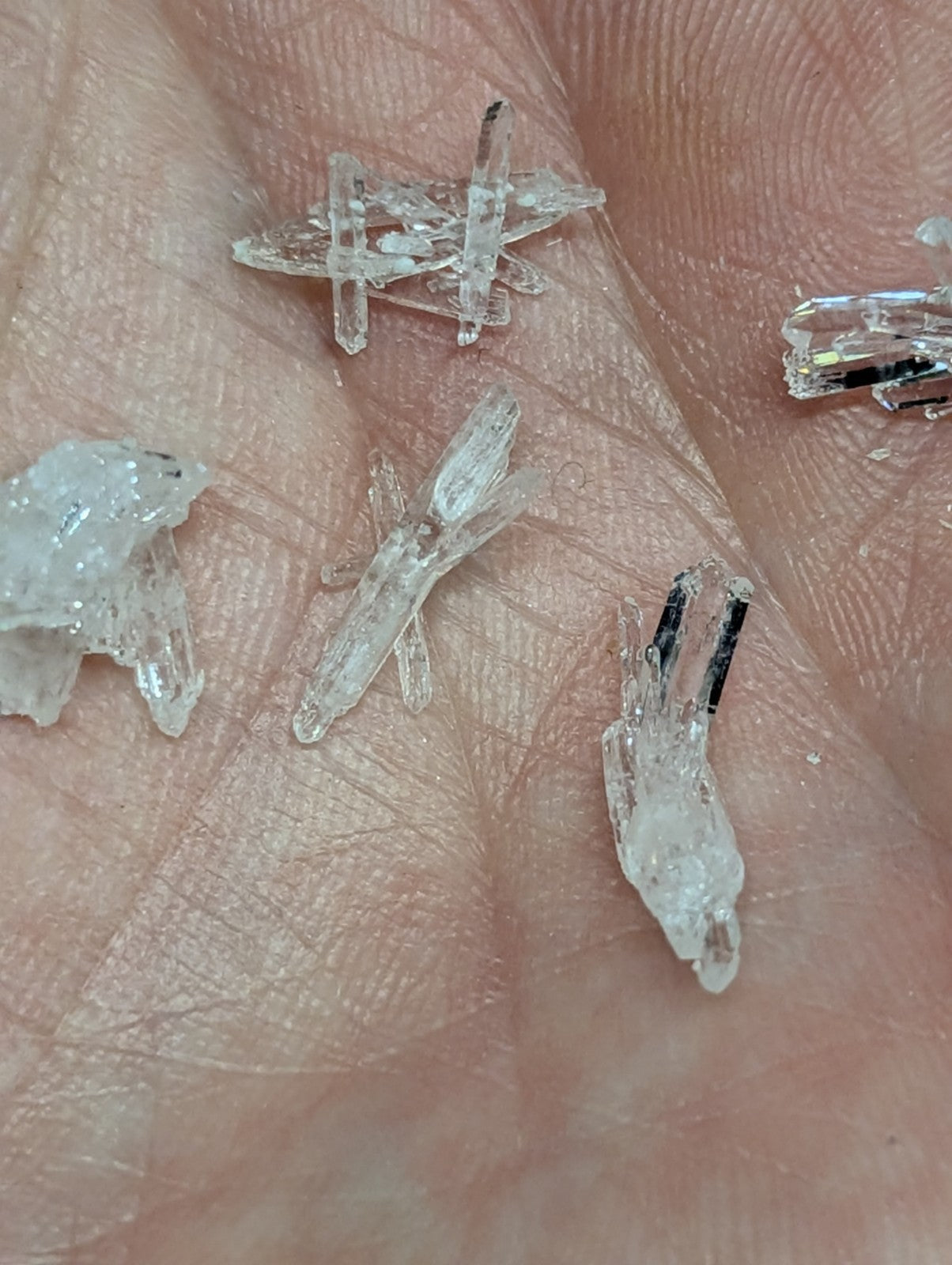 Clear, translucent crystal fragments with sharp edges and natural facets.