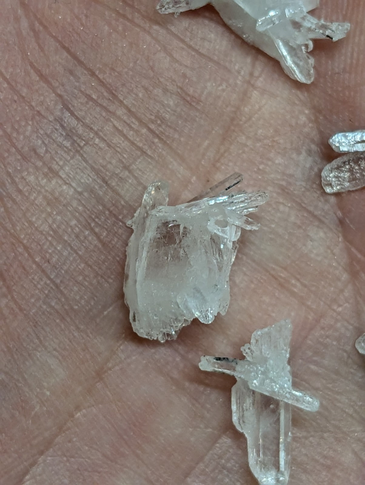 Clear, translucent crystal fragments with jagged edges and natural growth patterns.