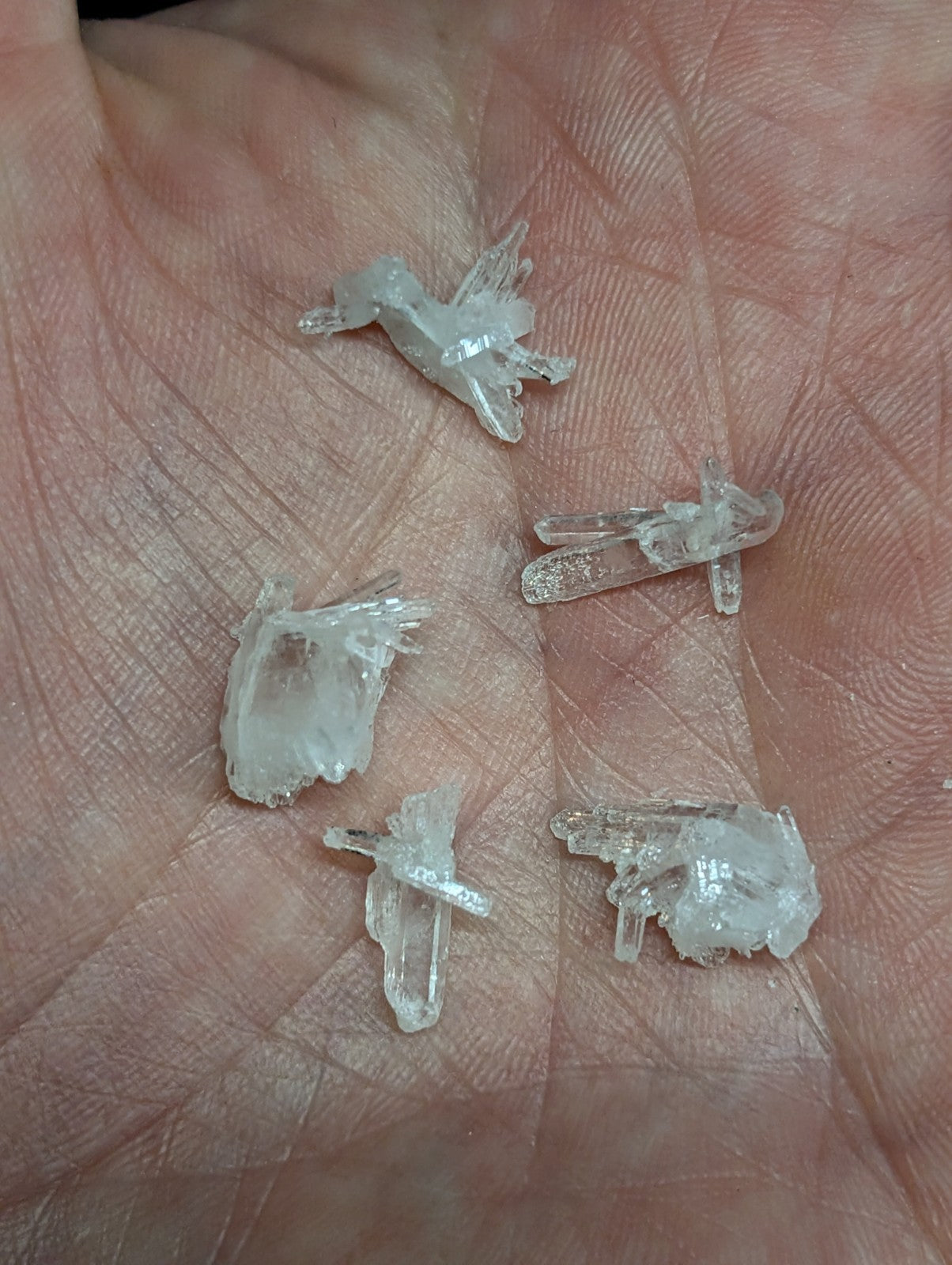 Clear, translucent quartz crystals with jagged edges and natural facets rest in the palm.