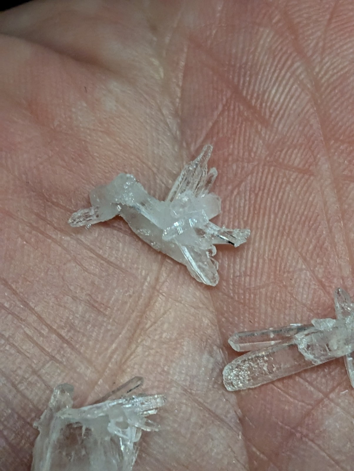 Clear, translucent quartz crystals with jagged edges and a delicate, natural formation.