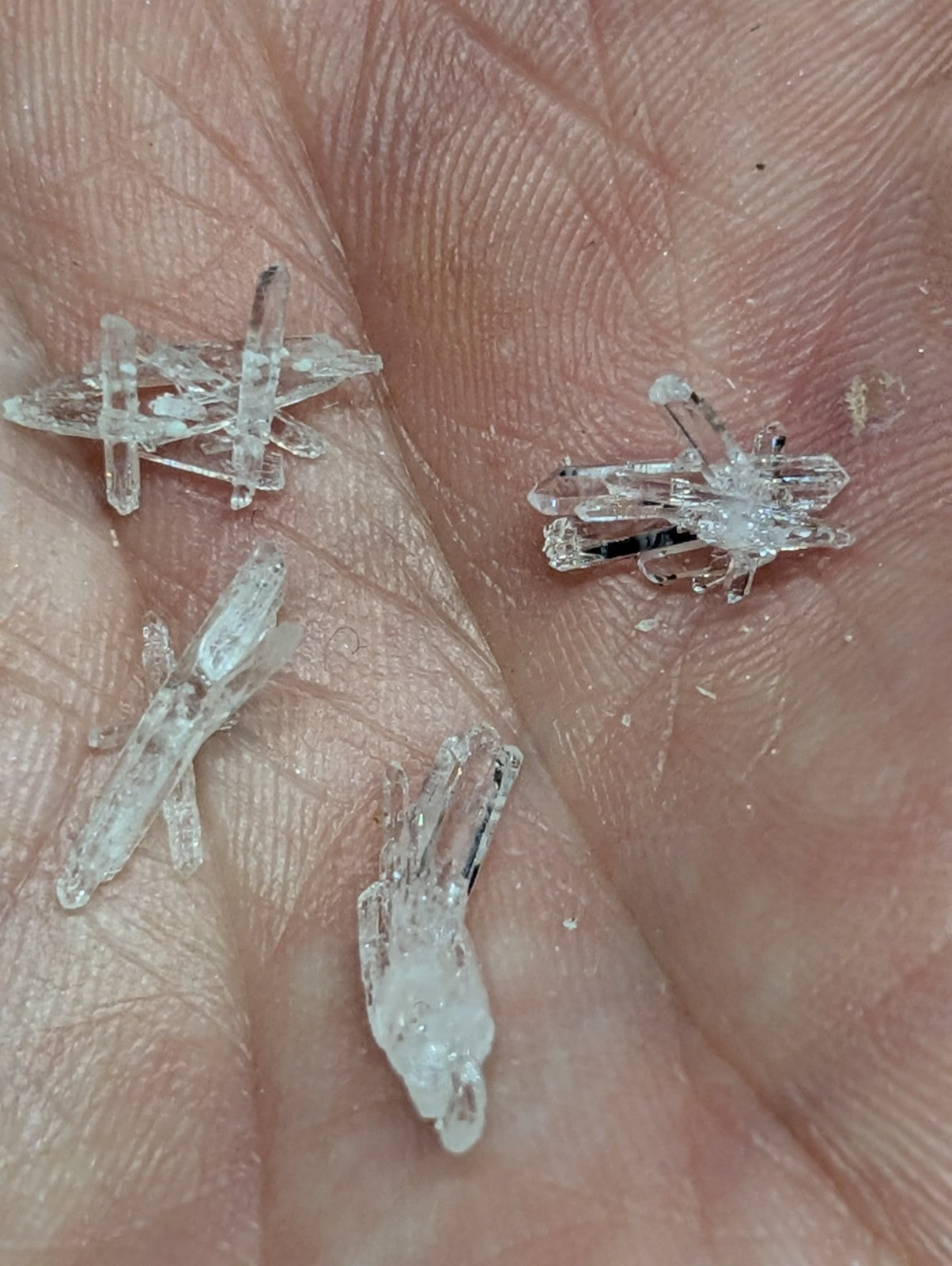 Clear quartz crystals with intricate, branching formations and subtle internal inclusions.