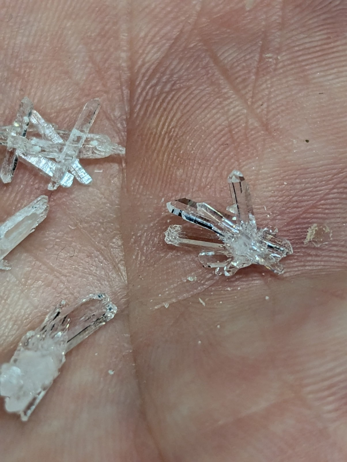 Clear, translucent quartz crystals with sharp, angular facets and natural branching structures.