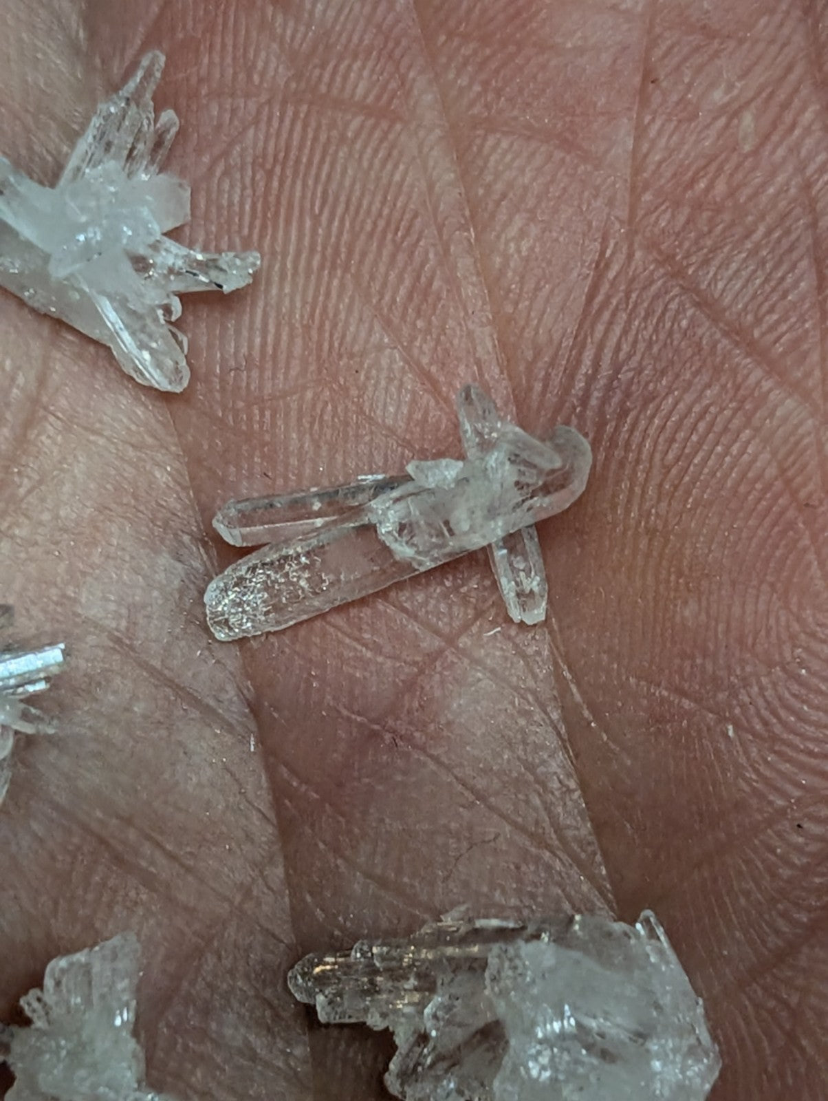 Clear quartz crystals with natural, branching formations and a translucent appearance.
