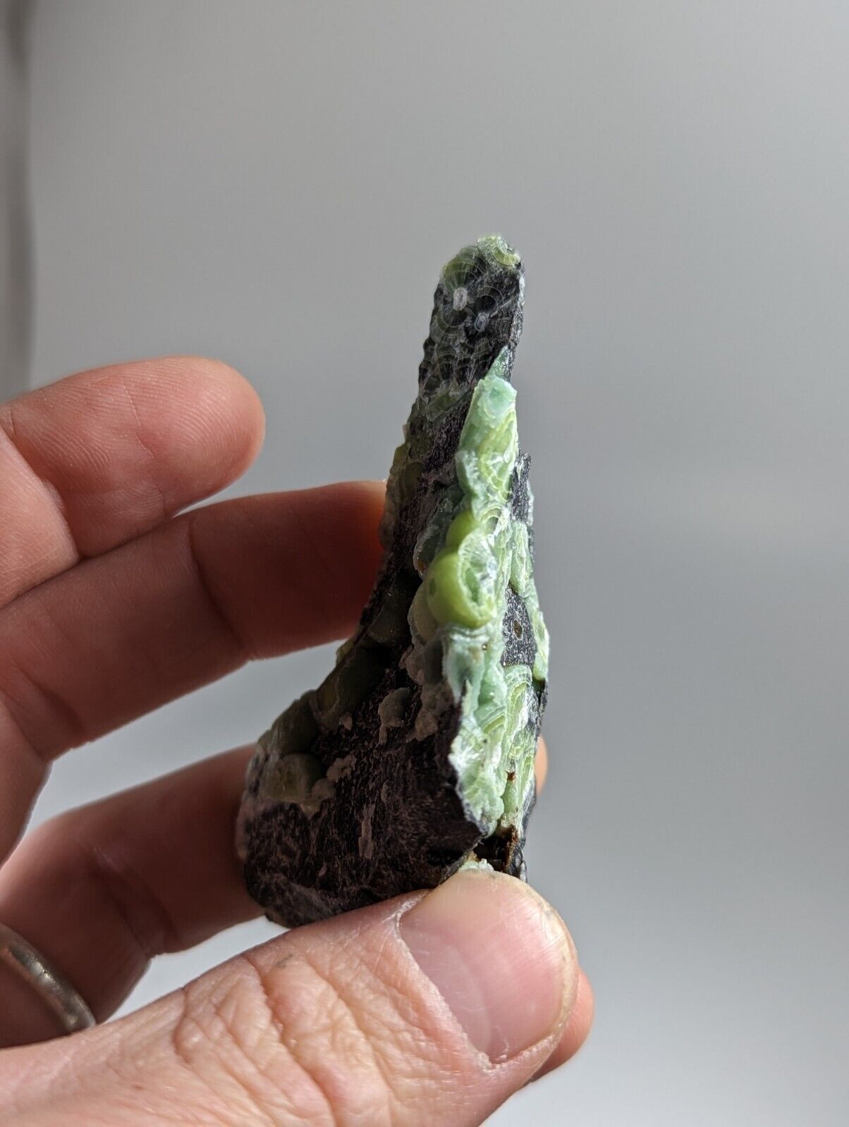 Amazing Wavellite - Fantastic 1990s Old Stock - Mauldin Mountain Arkansas - Collectibles:Rocks Fossils &