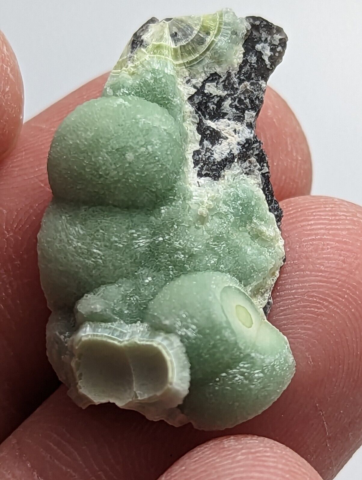 Amazing Wavellite - Fantastic 1990s Old Stock - Mauldin Mountain Arkansas - Collectibles:Rocks Fossils &