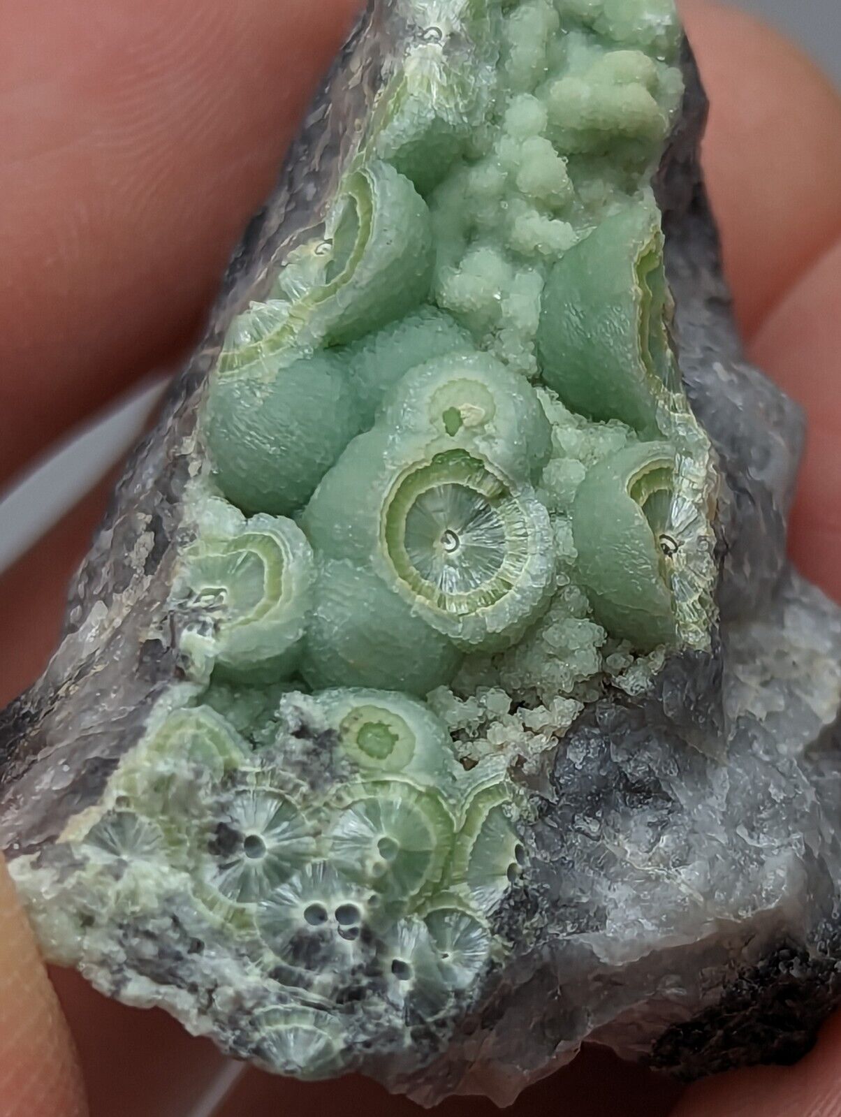 Amazing Wavellite - Fantastic 1990s Old Stock - Mauldin Mountain Arkansas - Collectibles:Rocks Fossils &