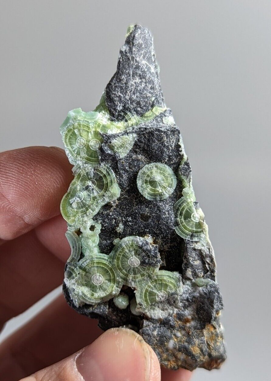 Amazing Wavellite - Fantastic 1990s Old Stock - Mauldin Mountain Arkansas - Collectibles:Rocks Fossils &