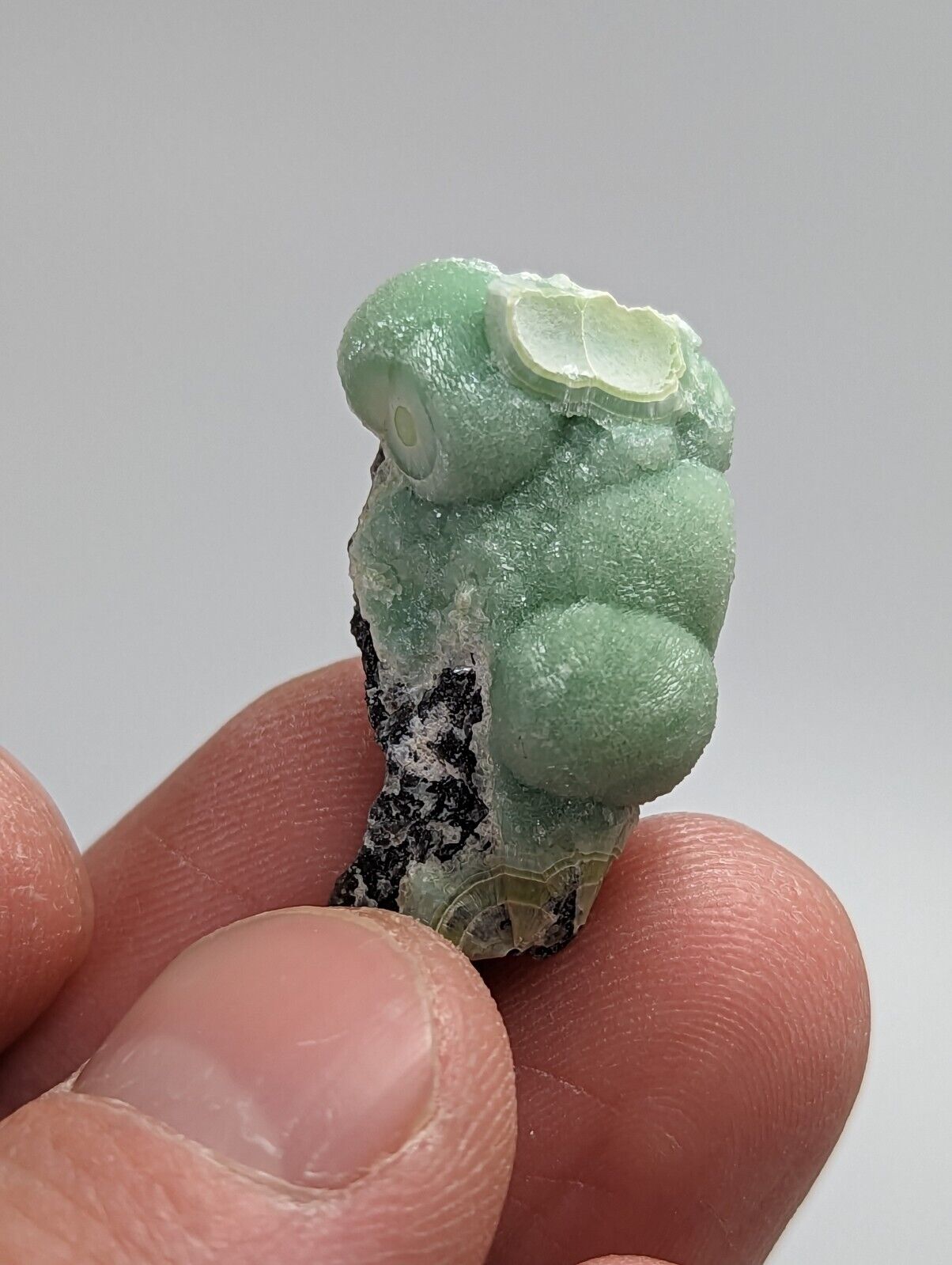 Amazing Wavellite - Fantastic 1990s Old Stock - Mauldin Mountain Arkansas - Collectibles:Rocks Fossils &