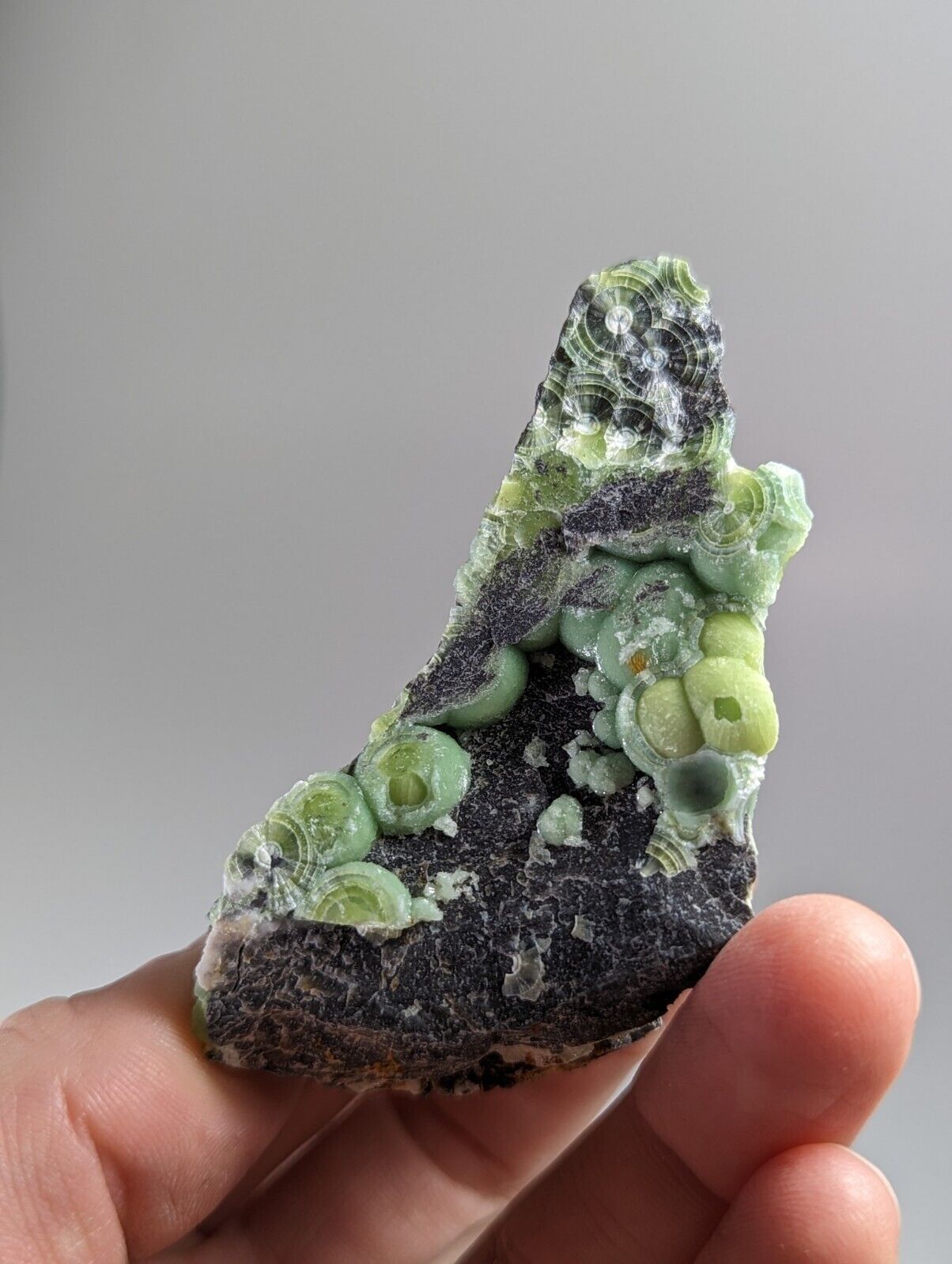 Amazing Wavellite - Fantastic 1990s Old Stock - Mauldin Mountain Arkansas - Collectibles:Rocks Fossils &