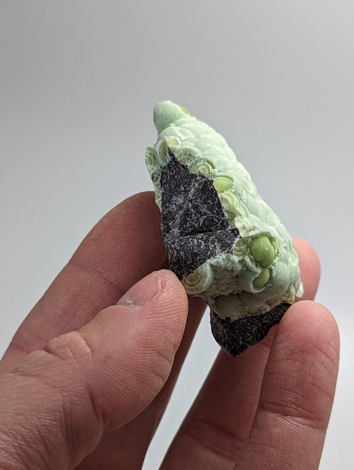 Amazing Wavellite - Fantastic 1990s Old Stock - Mauldin Mountain Arkansas - Collectibles:Rocks Fossils &