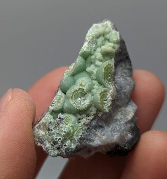 Amazing Wavellite - Fantastic 1990s Old Stock - Mauldin Mountain Arkansas - Collectibles:Rocks Fossils &
