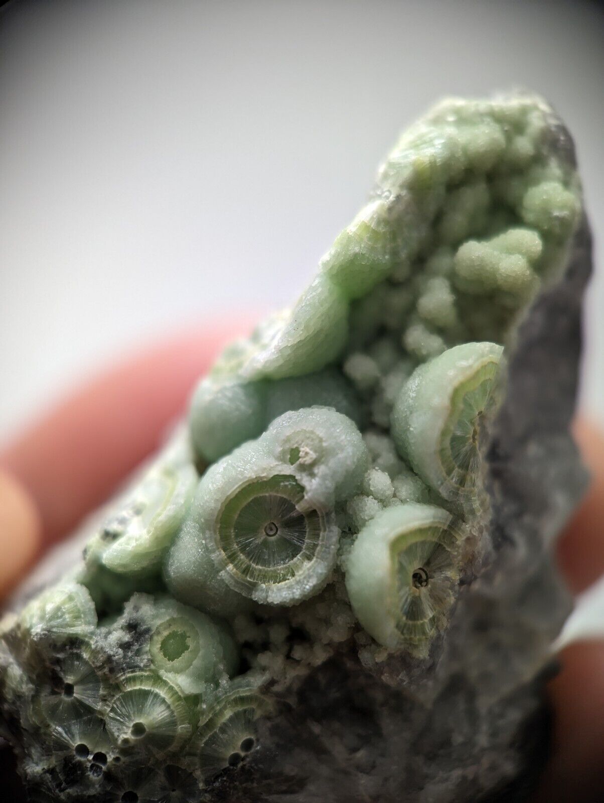 Amazing Wavellite - Fantastic 1990s Old Stock - Mauldin Mountain Arkansas - Collectibles:Rocks Fossils &