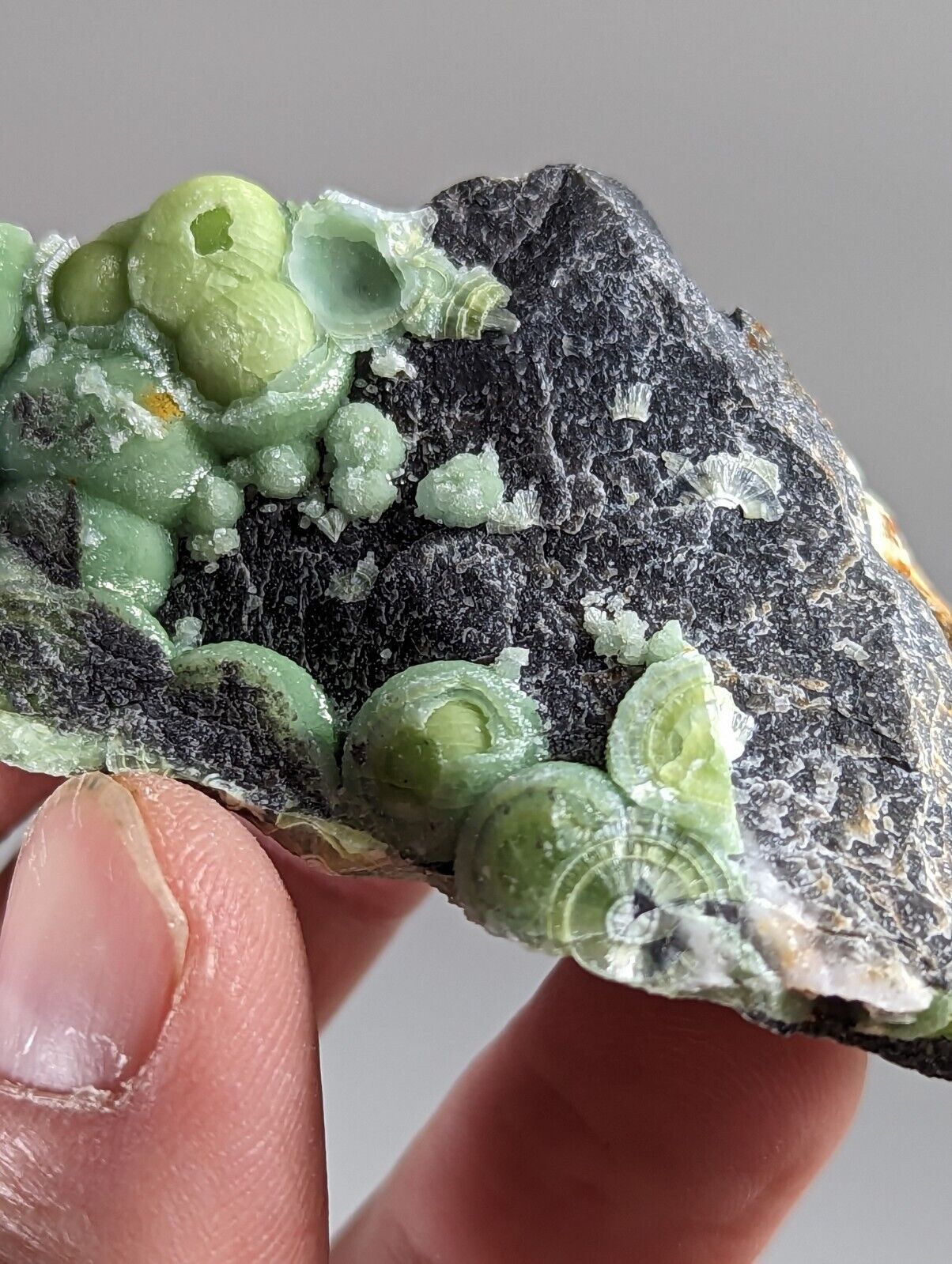 Amazing Wavellite - Fantastic 1990s Old Stock - Mauldin Mountain Arkansas - Collectibles:Rocks Fossils &