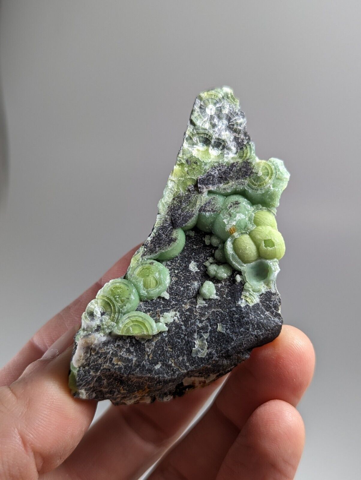 Amazing Wavellite - Fantastic 1990s Old Stock - Mauldin Mountain Arkansas - Collectibles:Rocks Fossils &