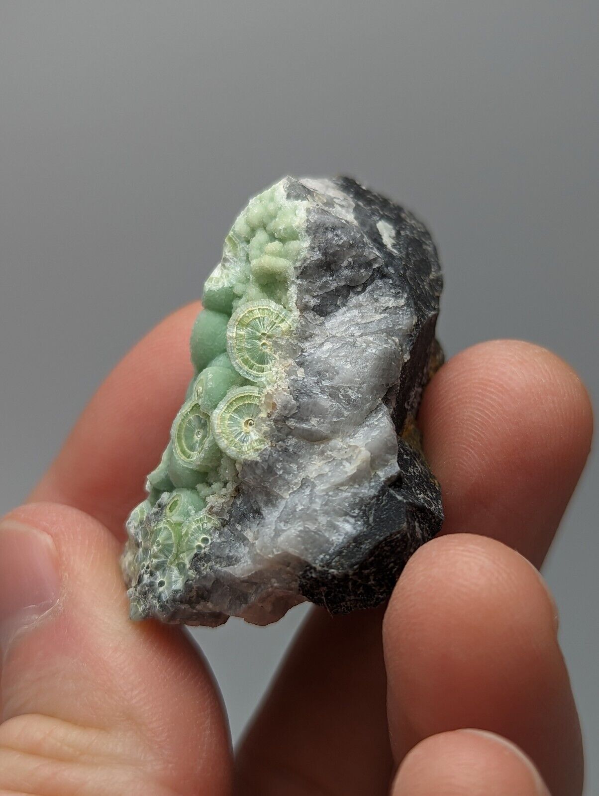 Amazing Wavellite - Fantastic 1990s Old Stock - Mauldin Mountain Arkansas - Collectibles:Rocks Fossils &
