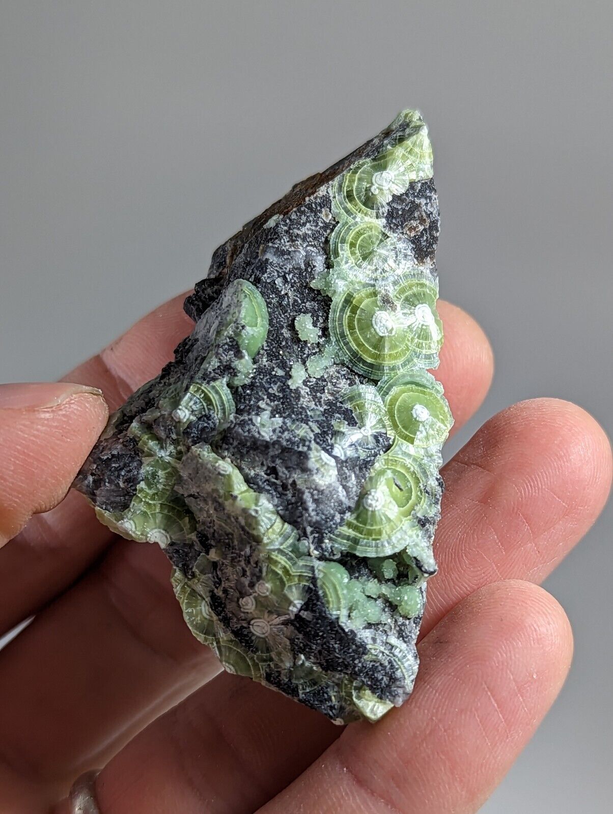 Amazing Wavellite - Fantastic 1990s Old Stock - Mauldin Mountain Arkansas - Collectibles:Rocks Fossils &
