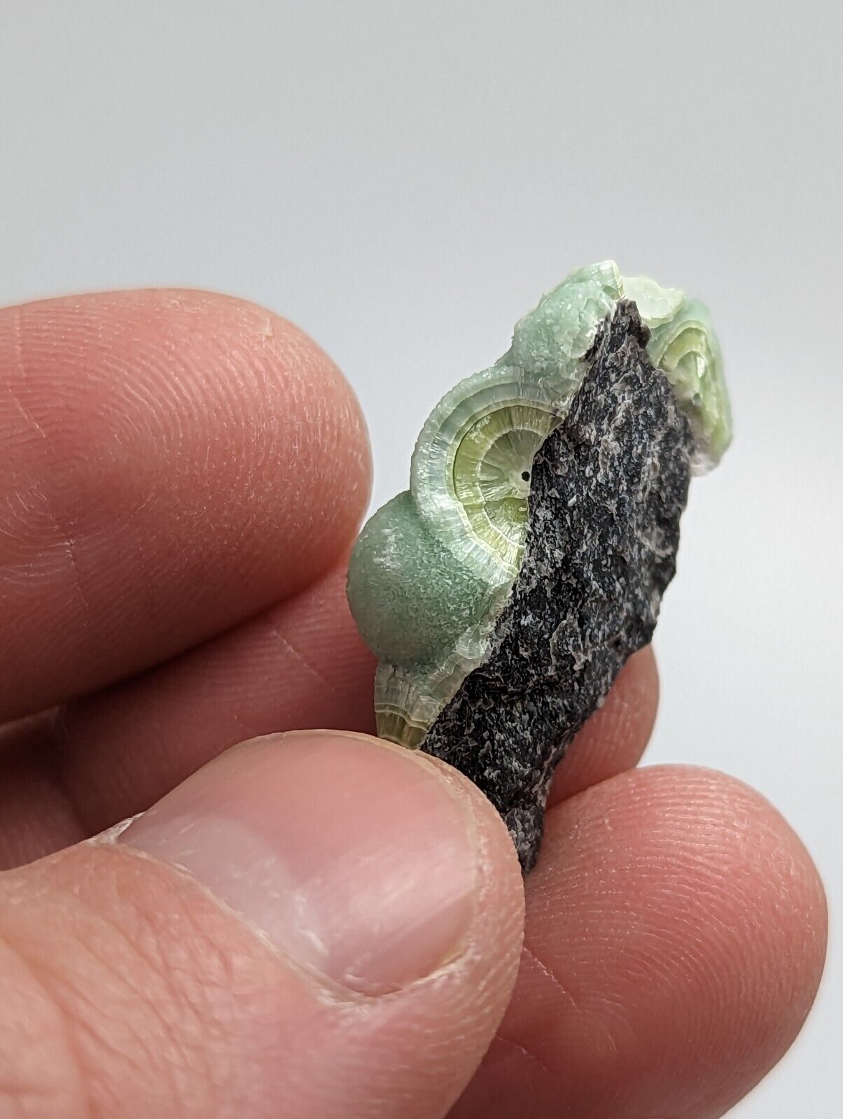 Amazing Wavellite - Fantastic 1990s Old Stock - Mauldin Mountain Arkansas - Collectibles:Rocks Fossils &