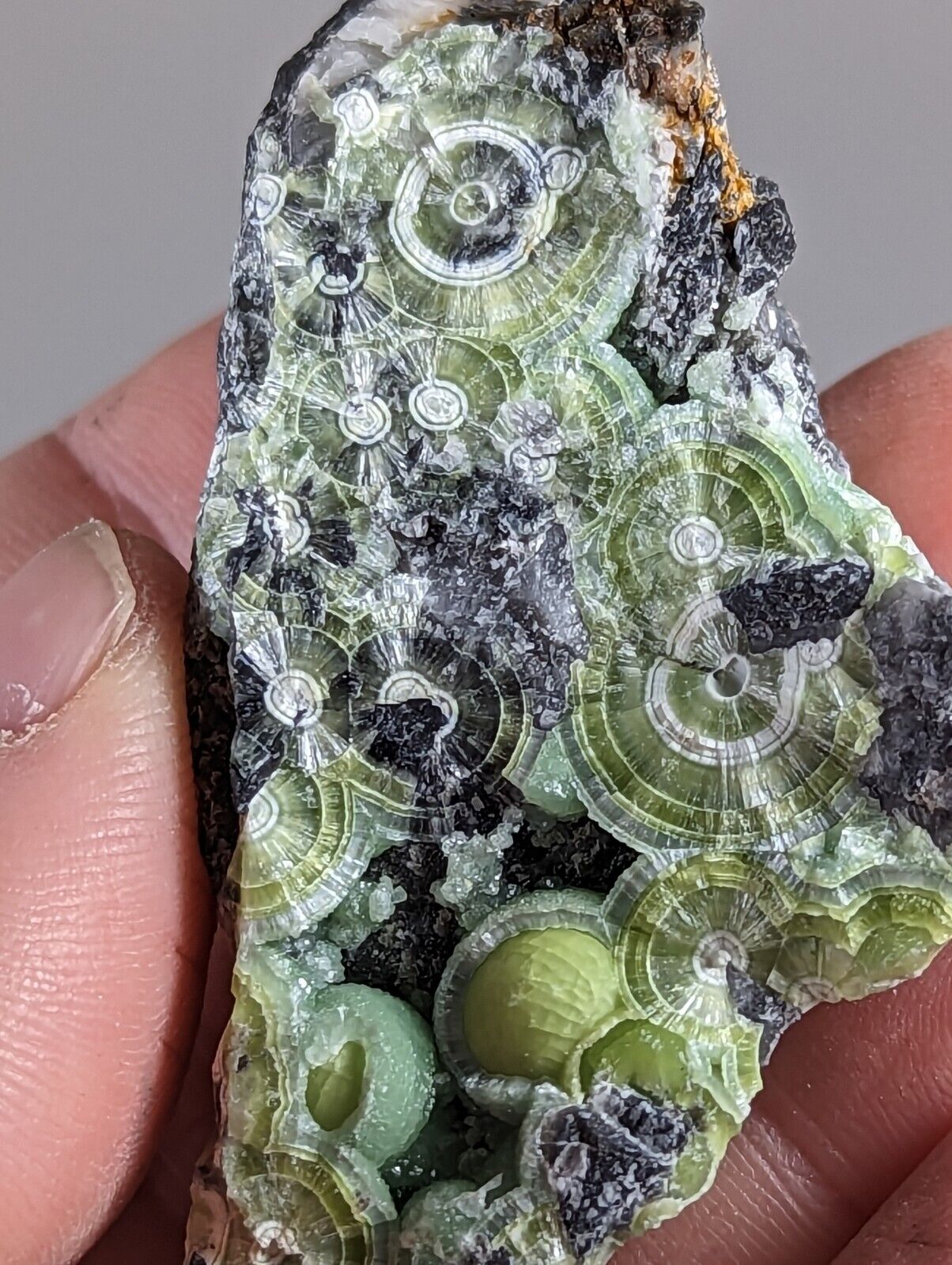 Amazing Wavellite - Fantastic 1990s Old Stock - Mauldin Mountain Arkansas - Collectibles:Rocks Fossils &