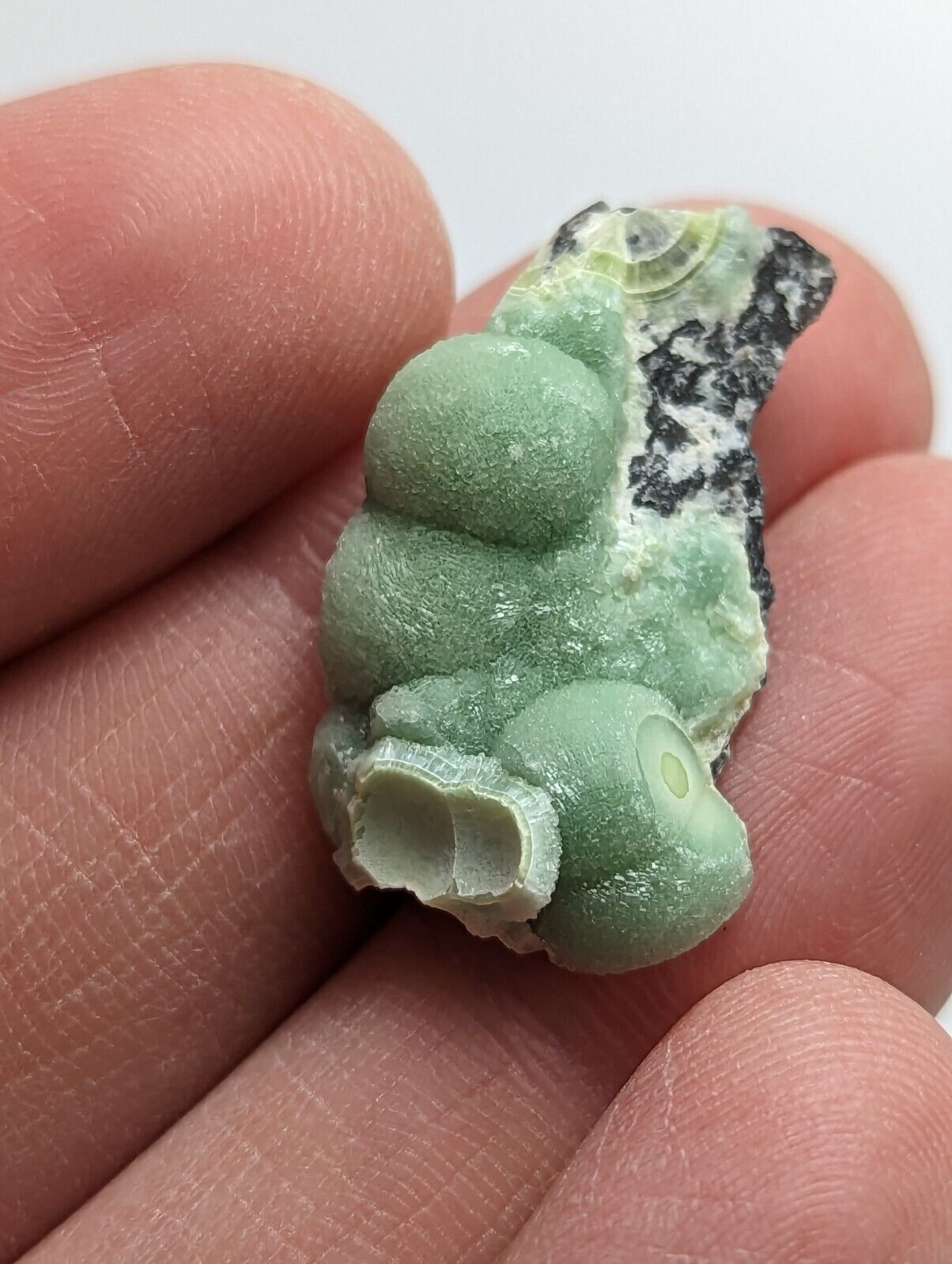 Amazing Wavellite - Fantastic 1990s Old Stock - Mauldin Mountain Arkansas - Collectibles:Rocks Fossils &