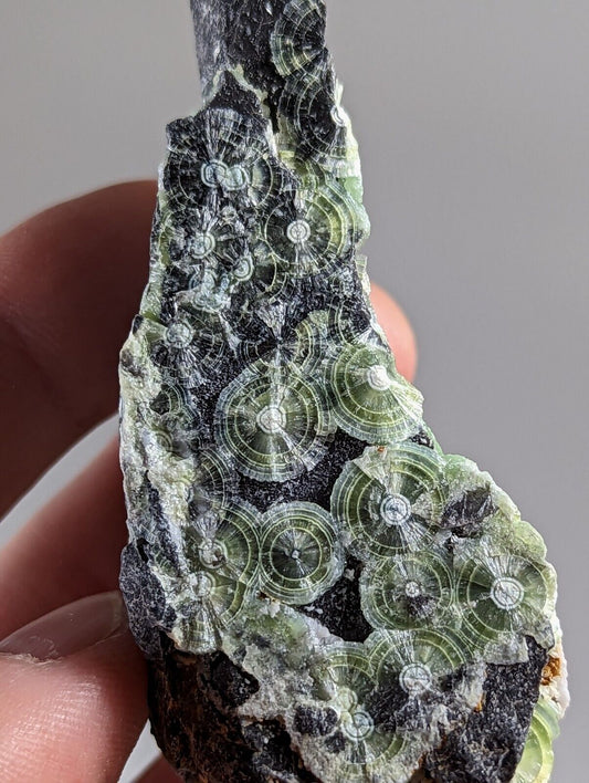 Amazing Wavellite - Fantastic 1990s Old Stock - Mauldin Mountain Arkansas - Collectibles:Rocks Fossils &