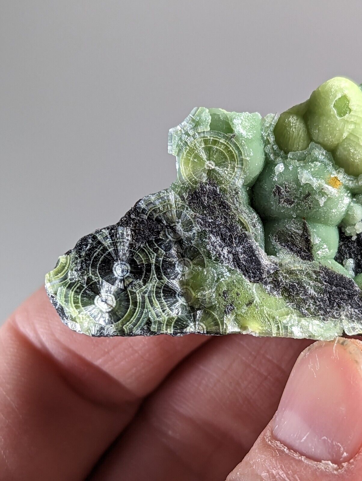 Amazing Wavellite - Fantastic 1990s Old Stock - Mauldin Mountain Arkansas - Collectibles:Rocks Fossils &
