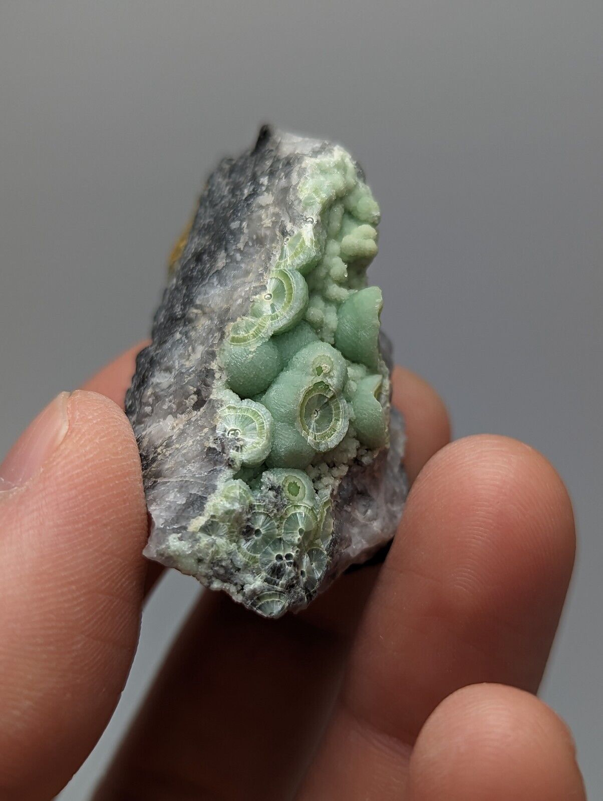 Amazing Wavellite - Fantastic 1990s Old Stock - Mauldin Mountain Arkansas - Collectibles:Rocks Fossils &