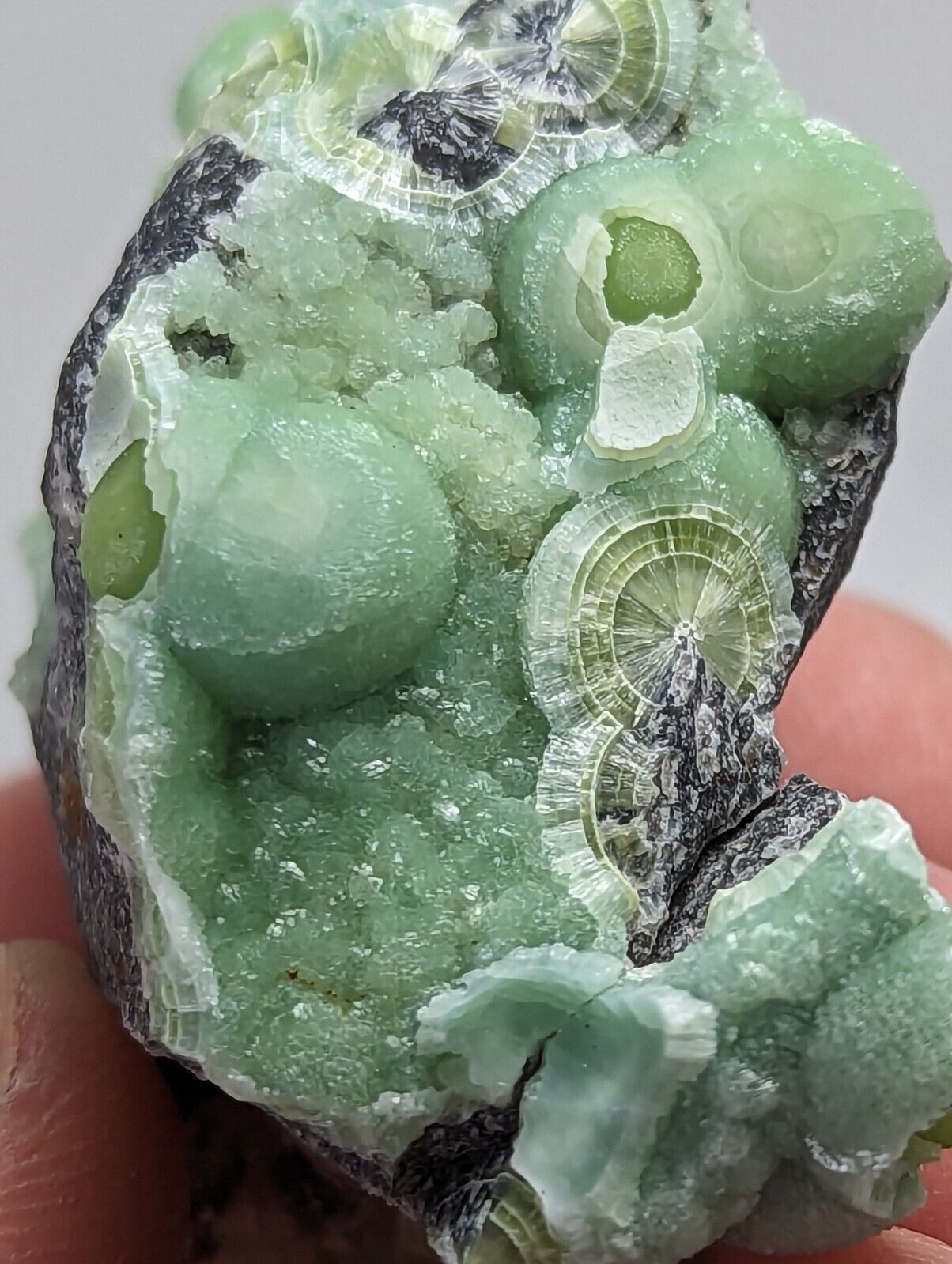 Amazing Wavellite - Fantastic 1990s Old Stock - Mauldin Mountain Arkansas - Collectibles:Rocks Fossils &