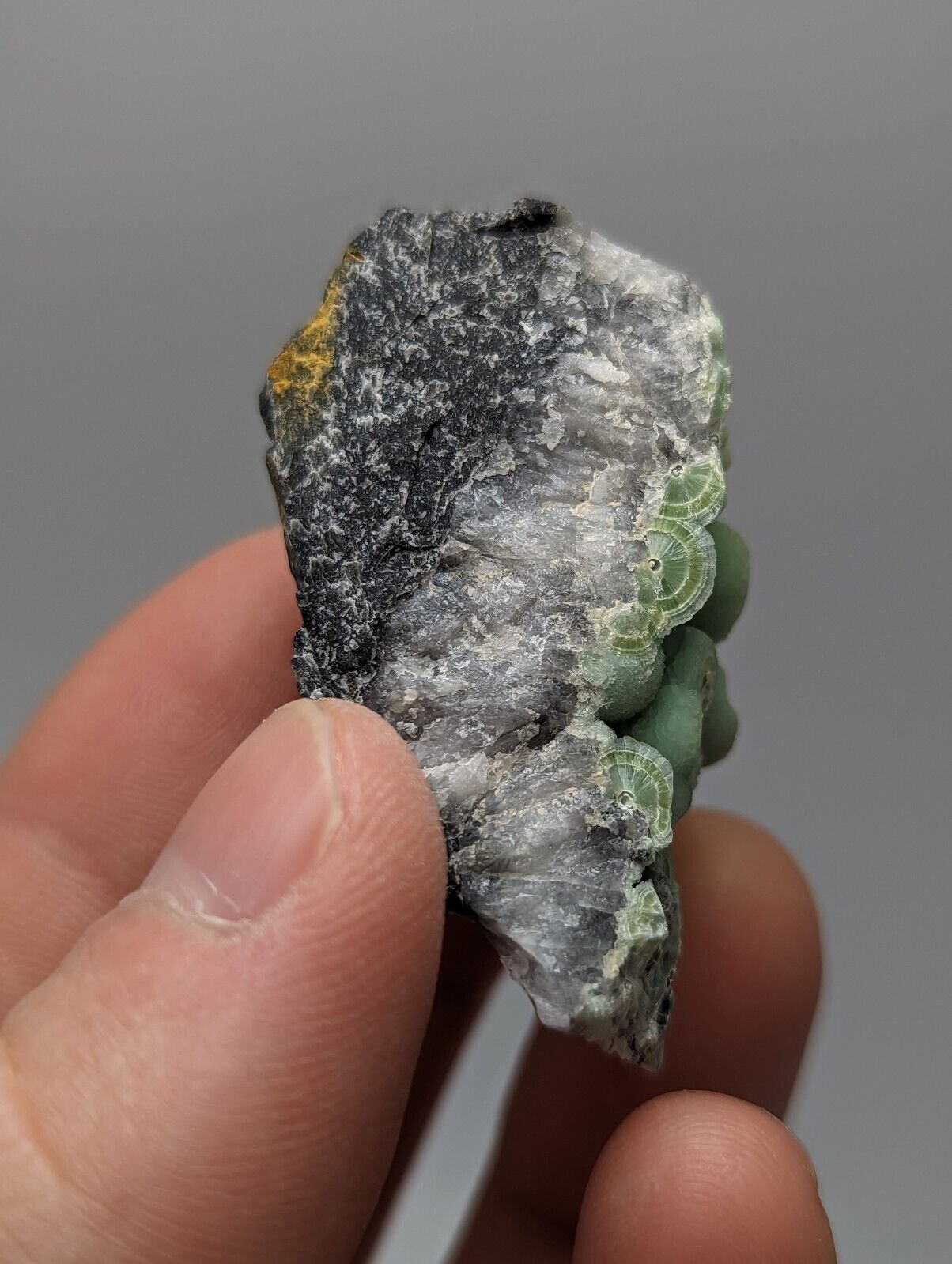 Amazing Wavellite - Fantastic 1990s Old Stock - Mauldin Mountain Arkansas - Collectibles:Rocks Fossils &