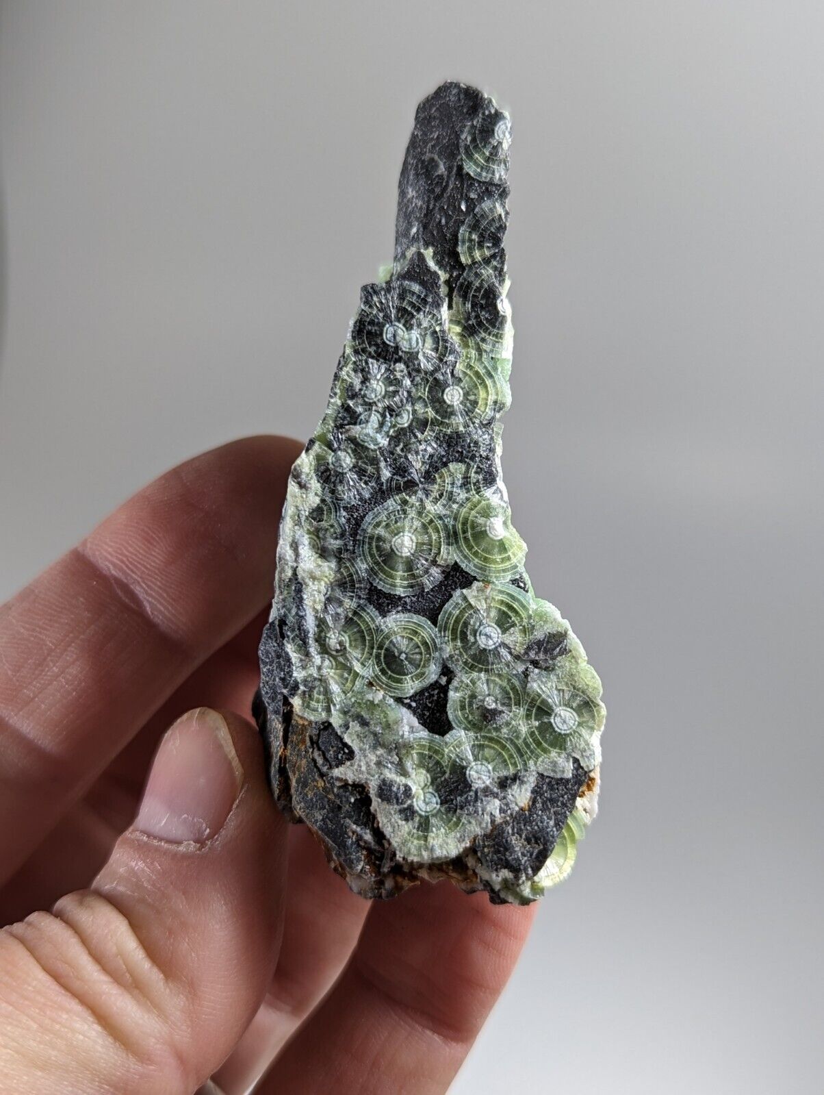 Amazing Wavellite - Fantastic 1990s Old Stock - Mauldin Mountain Arkansas - Collectibles:Rocks Fossils &