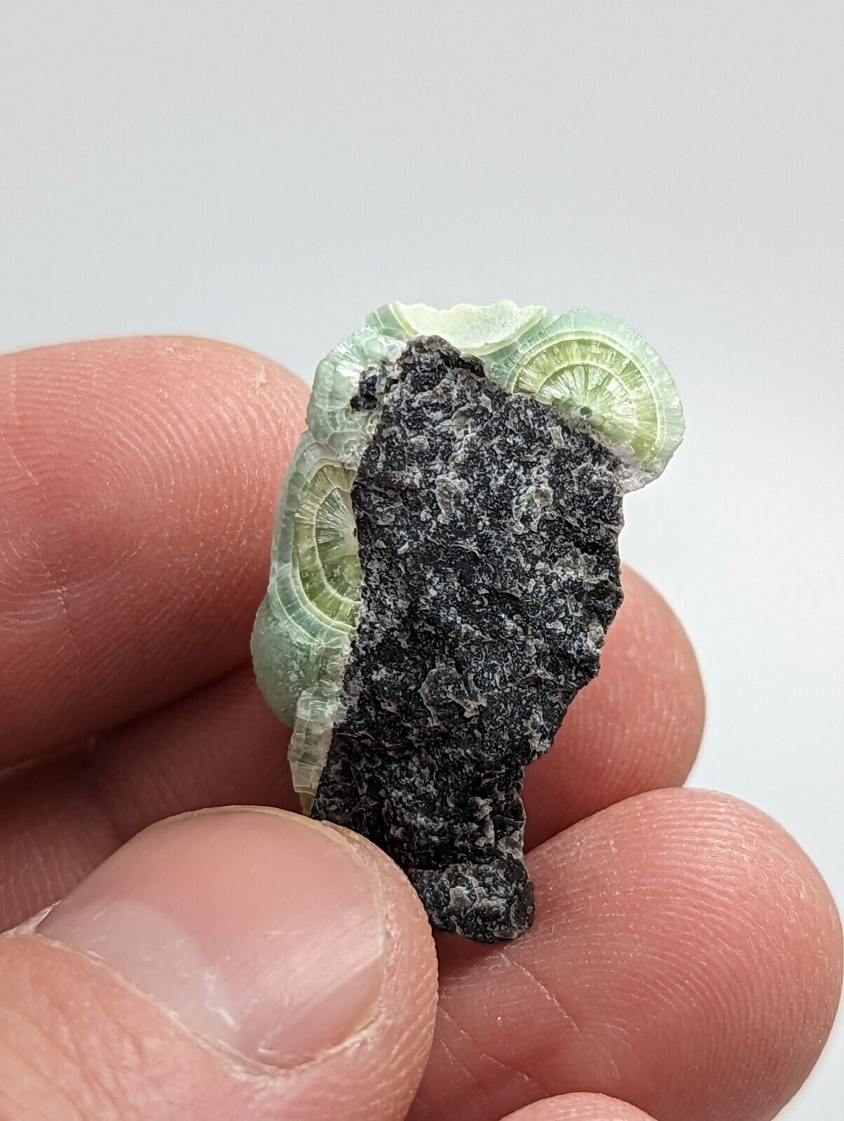 Amazing Wavellite - Fantastic 1990s Old Stock - Mauldin Mountain Arkansas - Collectibles:Rocks Fossils &