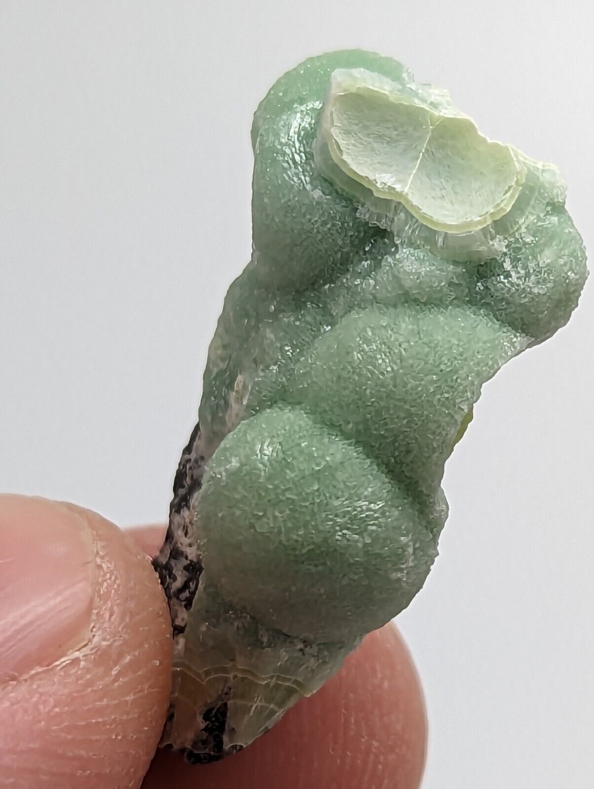Amazing Wavellite - Fantastic 1990s Old Stock - Mauldin Mountain Arkansas - Collectibles:Rocks Fossils &