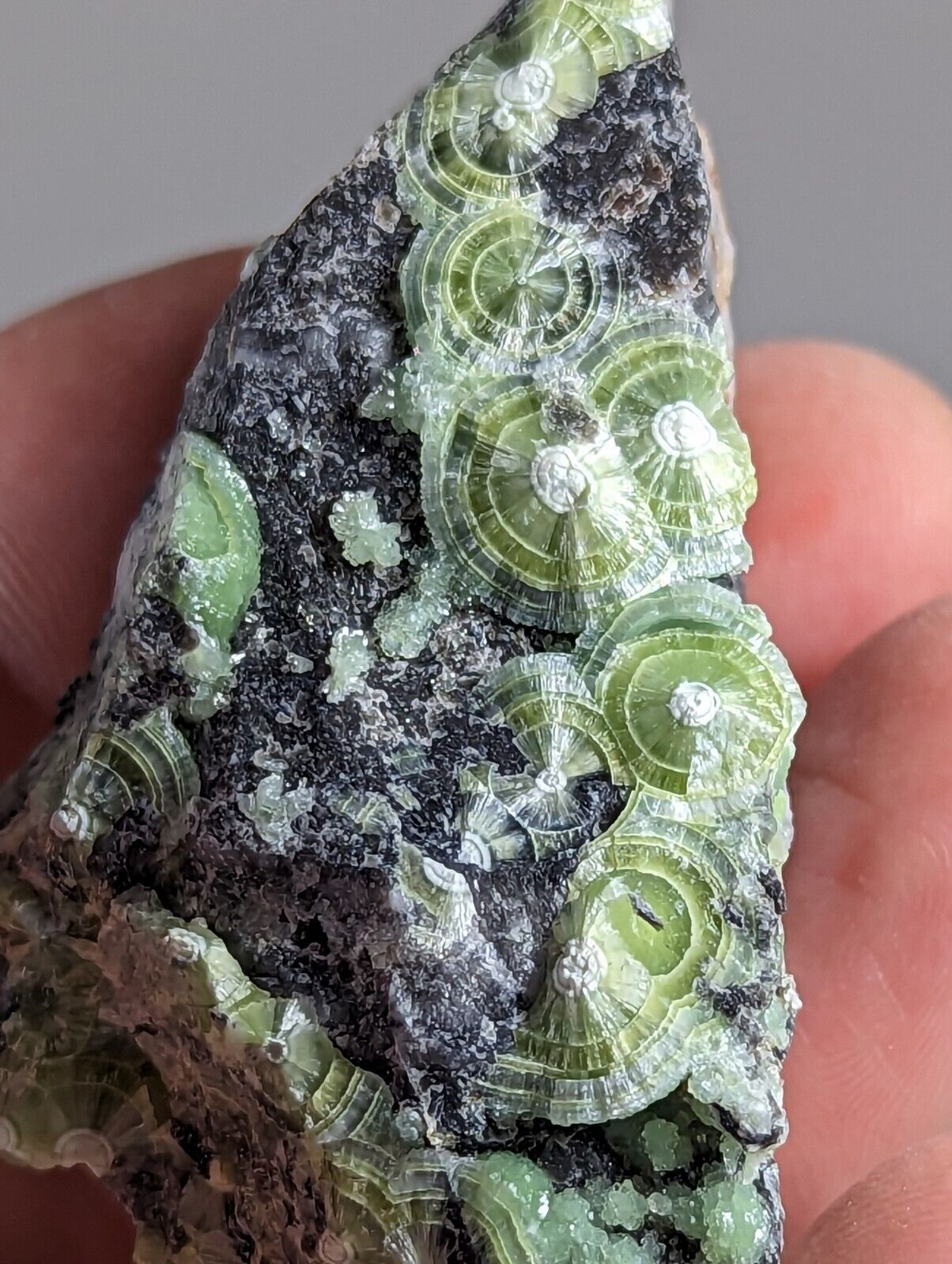 Amazing Wavellite - Fantastic 1990s Old Stock - Mauldin Mountain Arkansas - Collectibles:Rocks Fossils &