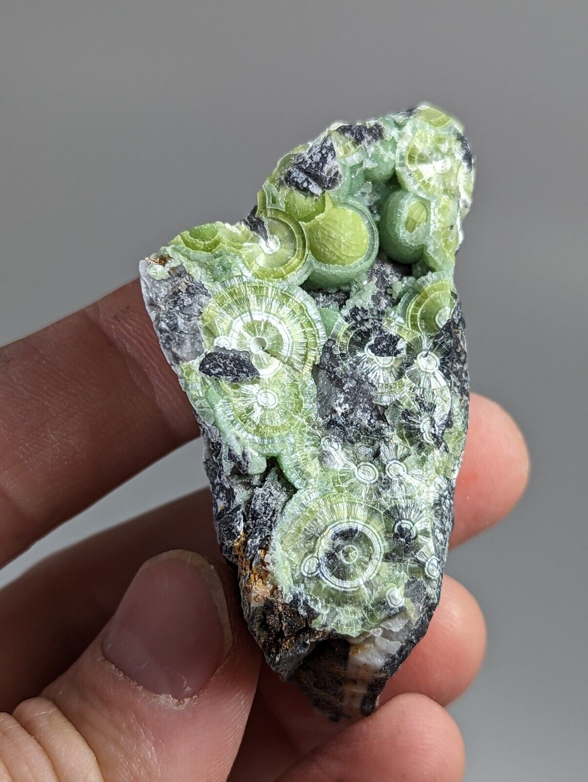 Amazing Wavellite - Fantastic 1990s Old Stock - Mauldin Mountain Arkansas - Collectibles:Rocks Fossils &
