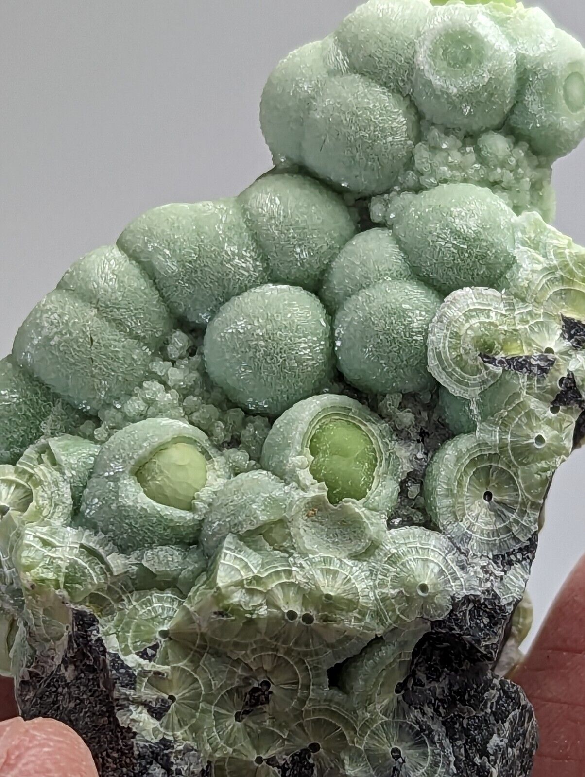 Amazing Wavellite - Fantastic 1990s Old Stock - Mauldin Mountain Arkansas - Collectibles:Rocks Fossils &