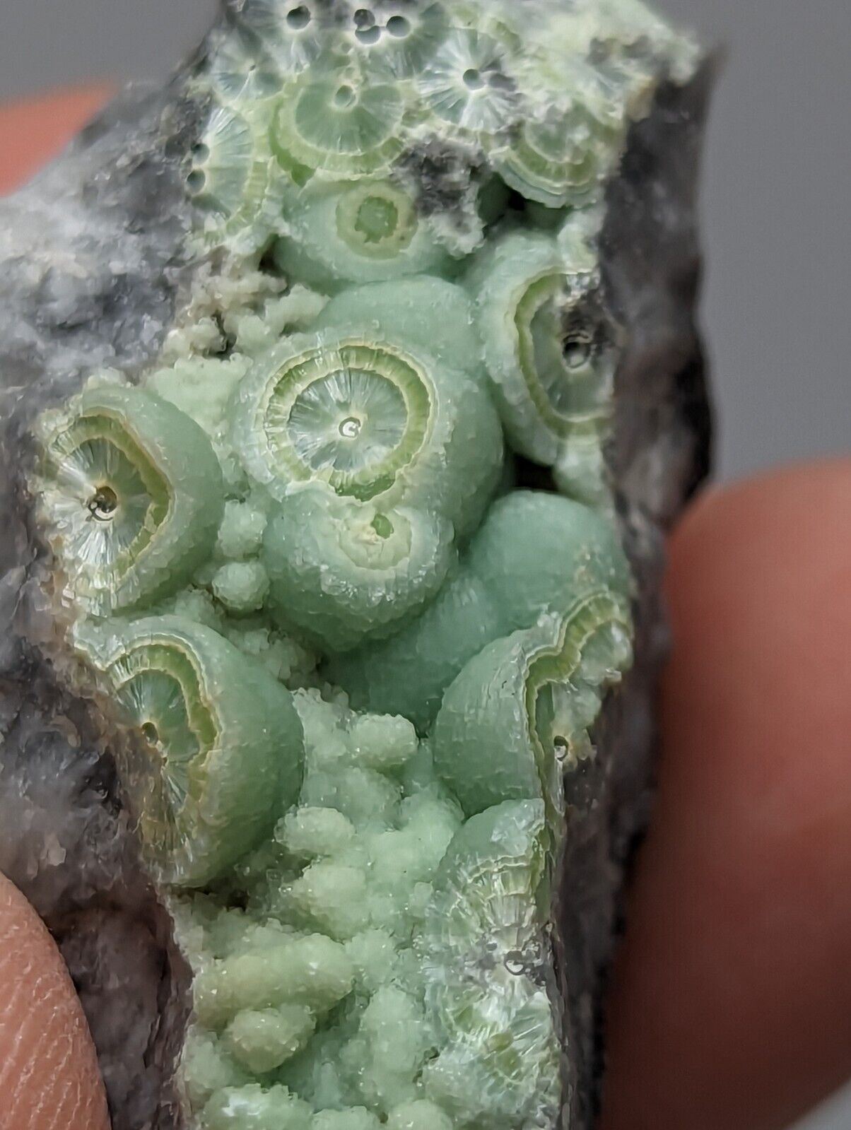 Amazing Wavellite - Fantastic 1990s Old Stock - Mauldin Mountain Arkansas - Collectibles:Rocks Fossils &