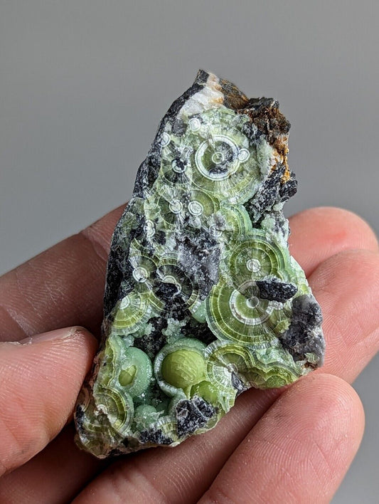 Amazing Wavellite - Fantastic 1990s Old Stock - Mauldin Mountain Arkansas - Collectibles:Rocks Fossils &