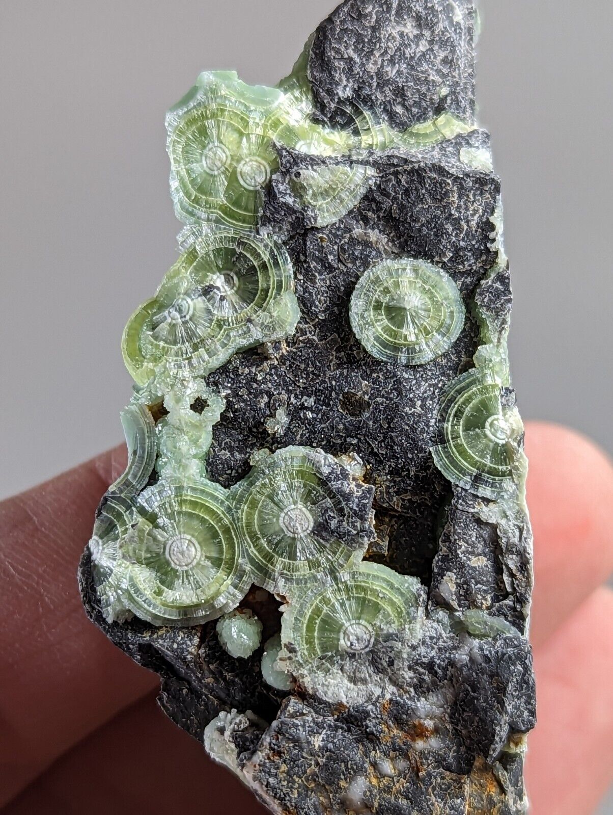 Amazing Wavellite - Fantastic 1990s Old Stock - Mauldin Mountain Arkansas - Collectibles:Rocks Fossils &