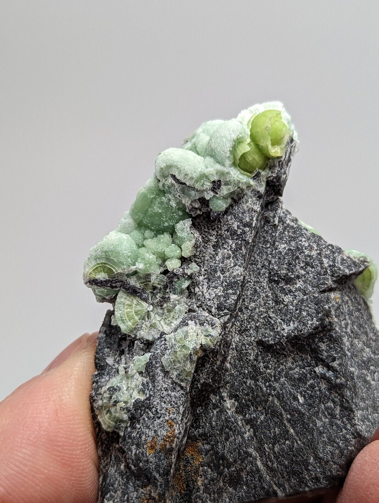 Amazing Wavellite - Fantastic 1990s Old Stock - Mauldin Mountain Arkansas - Collectibles:Rocks Fossils &