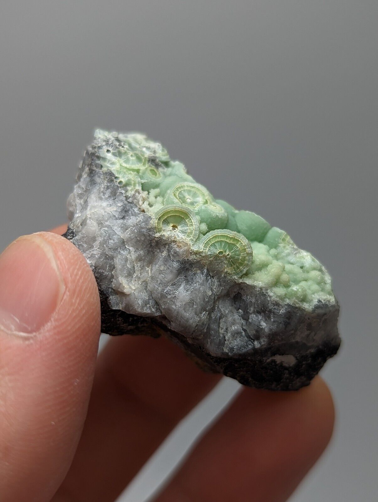 Amazing Wavellite - Fantastic 1990s Old Stock - Mauldin Mountain Arkansas - Collectibles:Rocks Fossils &